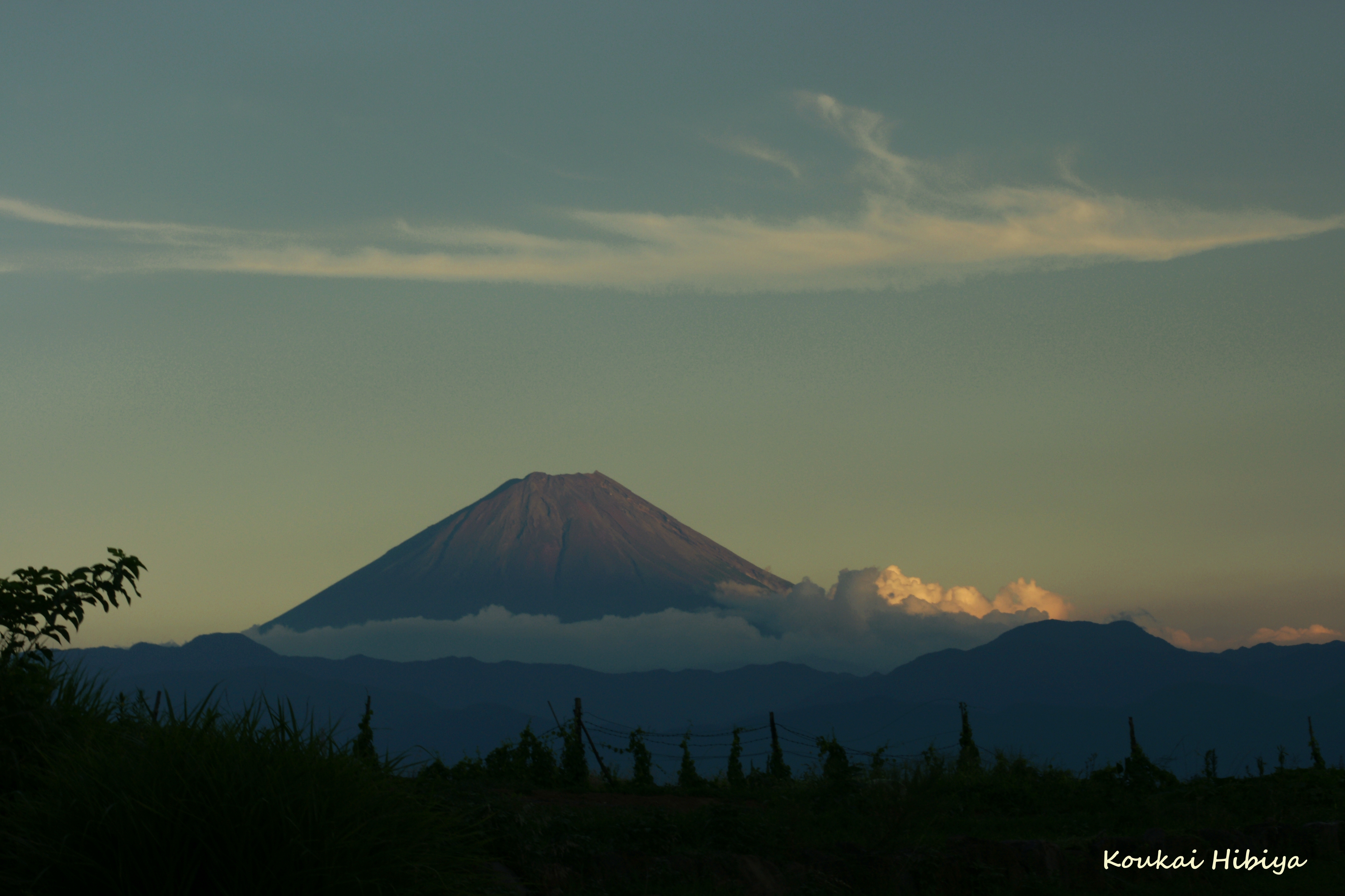 夏の富士山