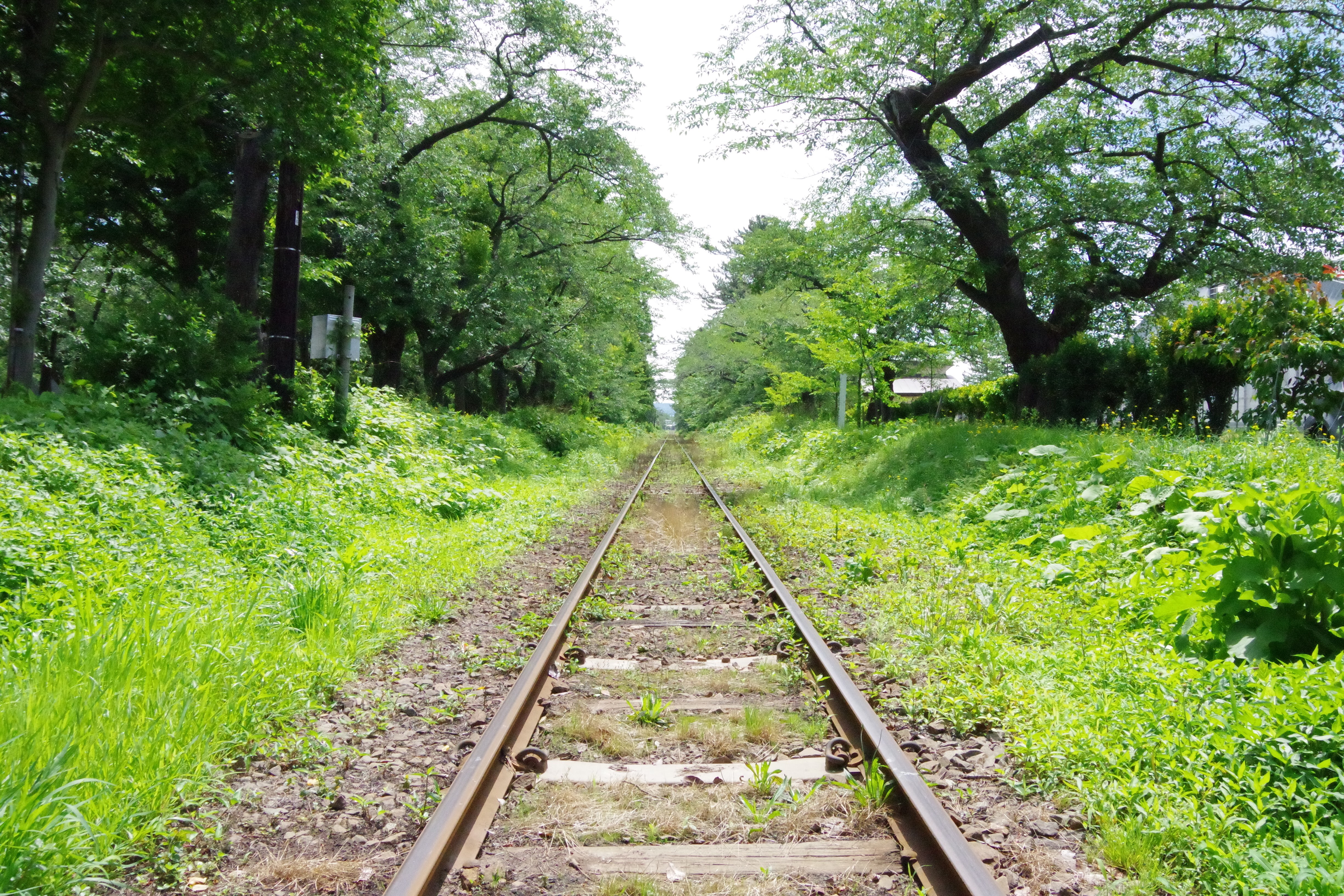 線路in芦野公園