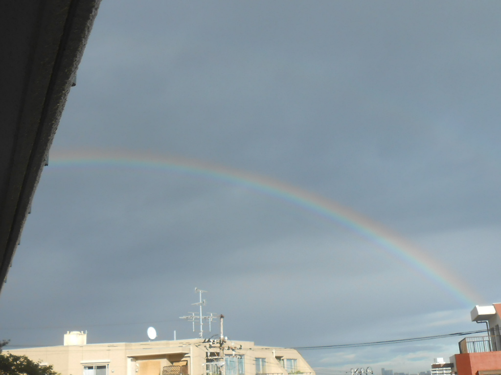 雨上がりの虹