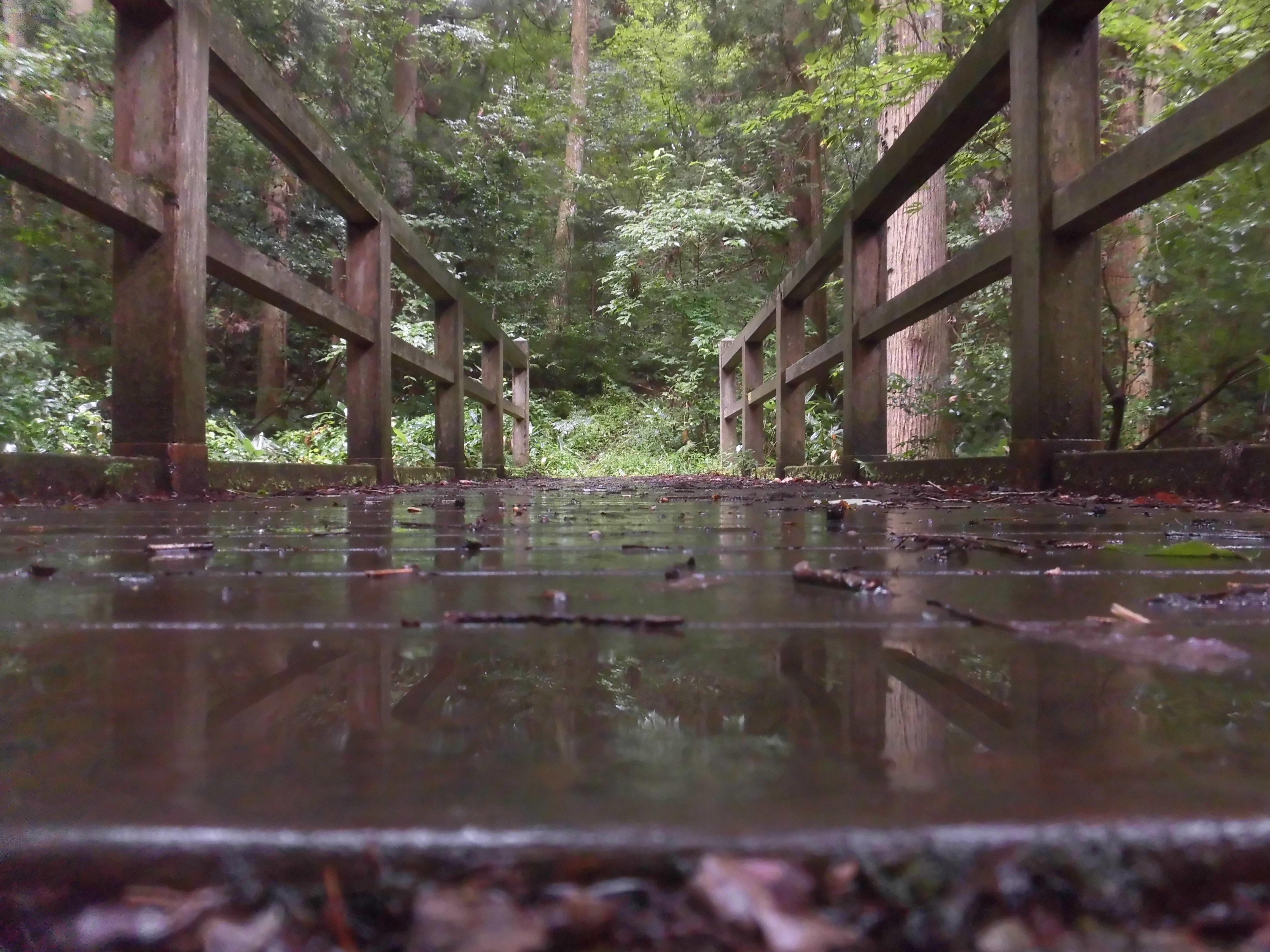 雨晴橋