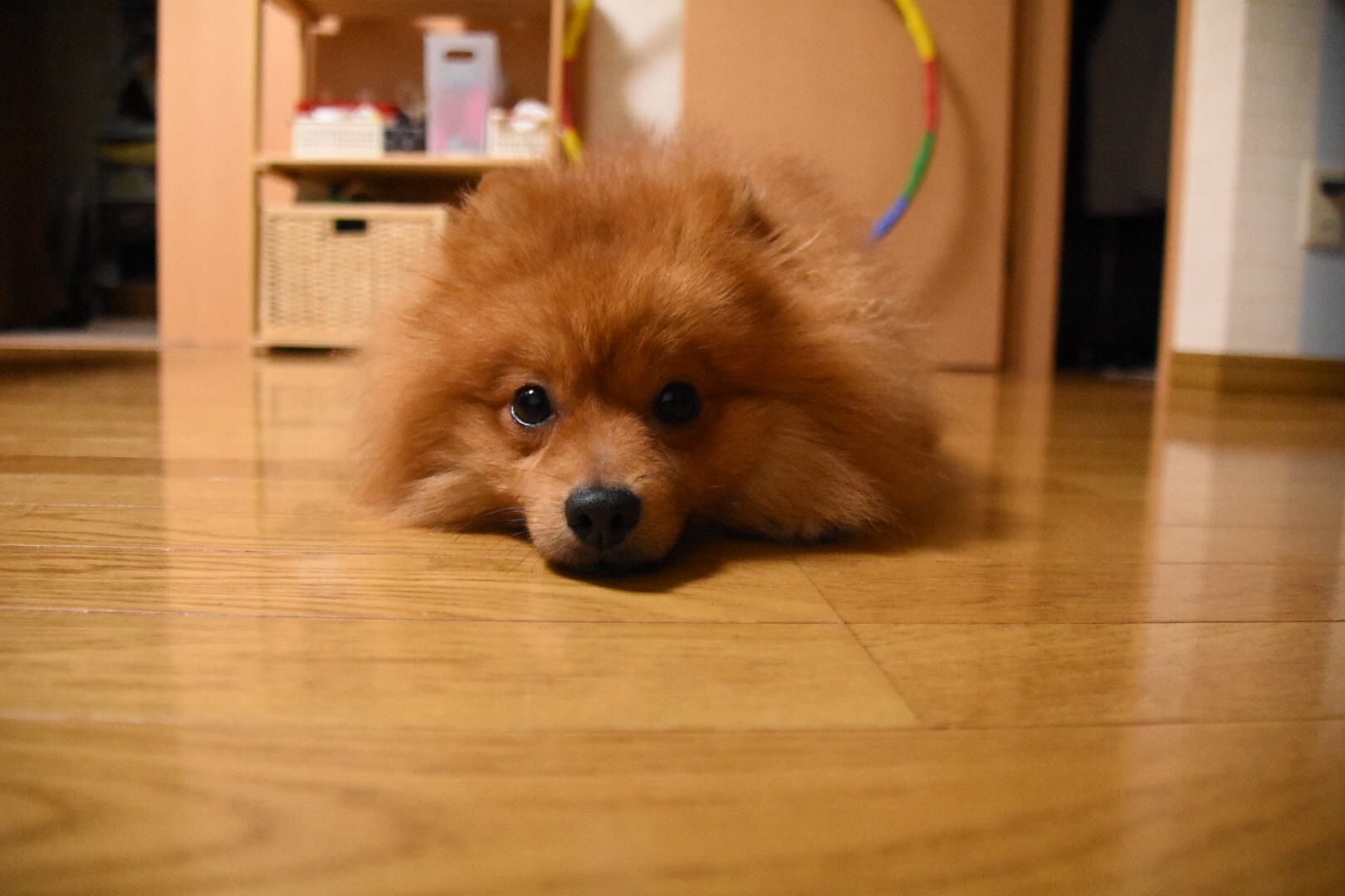 つちのこ?