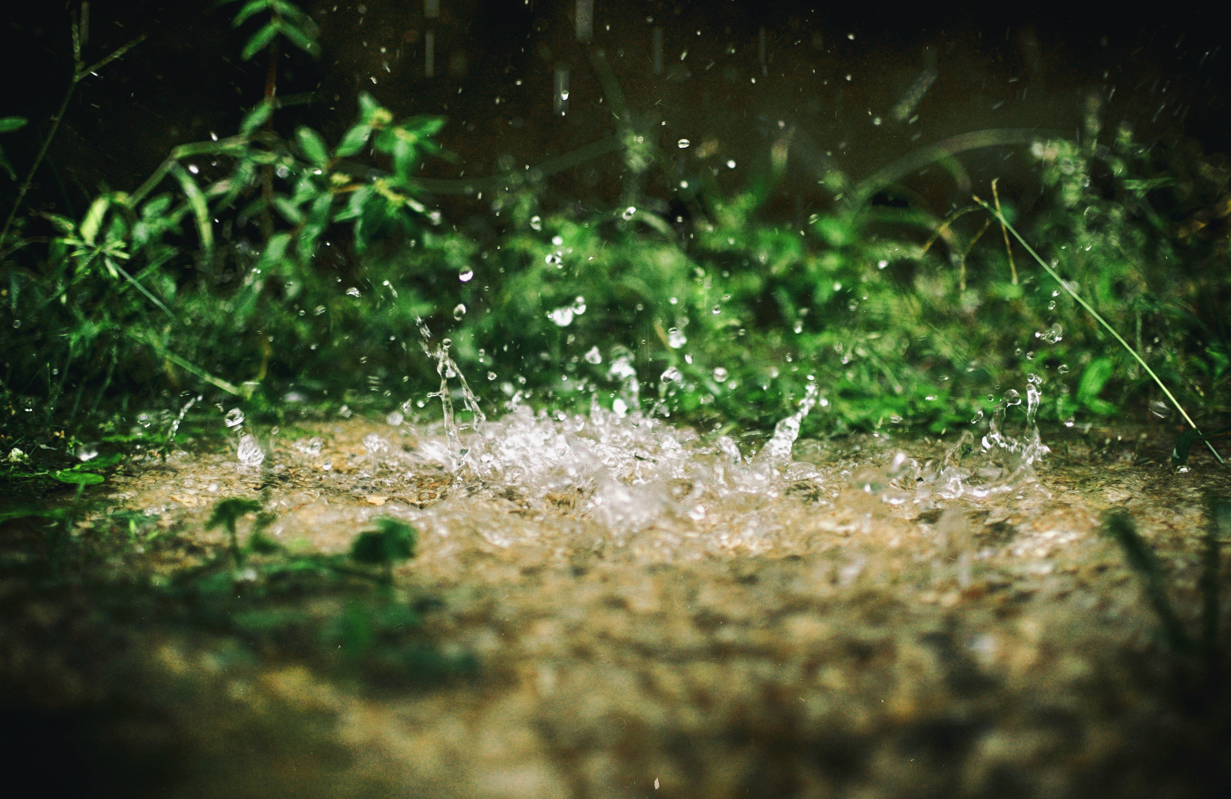 雨で202kcalの補給と約16kcal消費なり。。。。