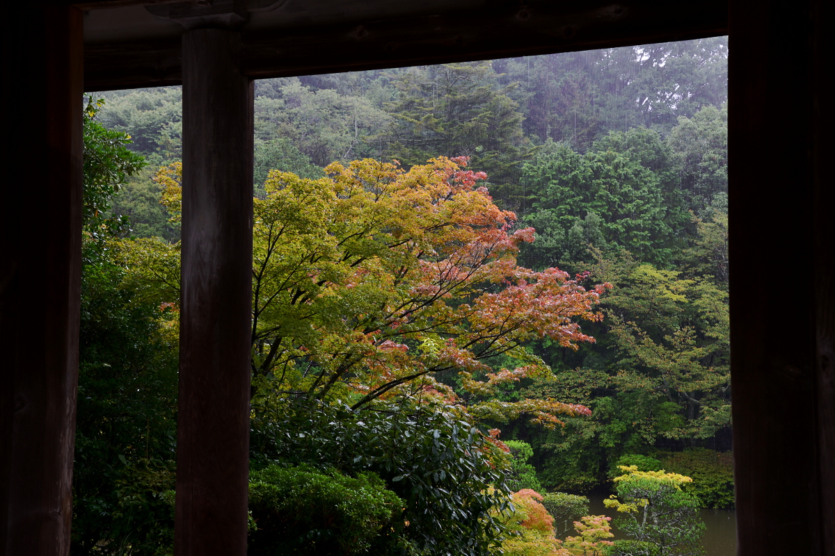 はじまりは雨