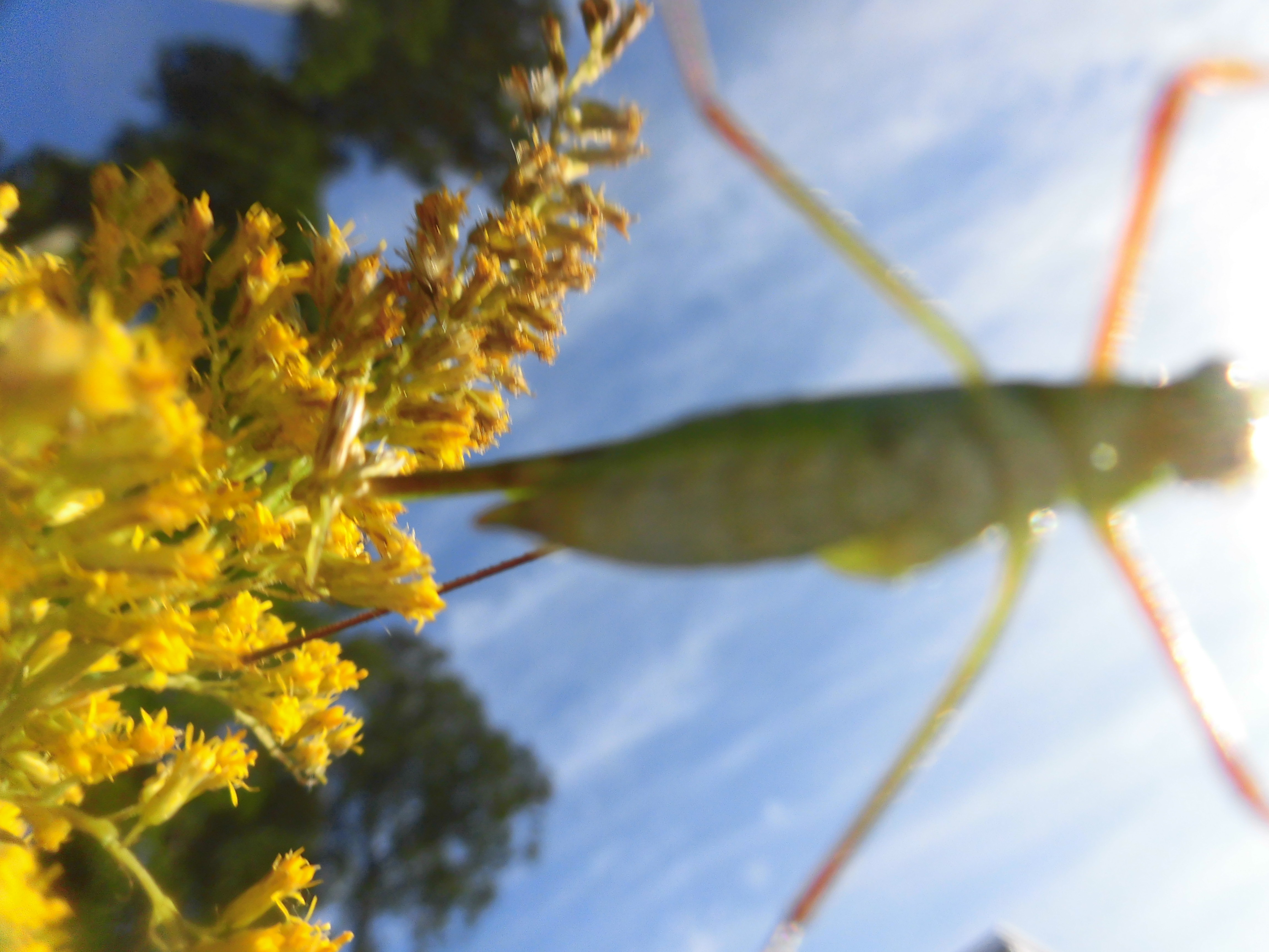 青空バッタstory3完結