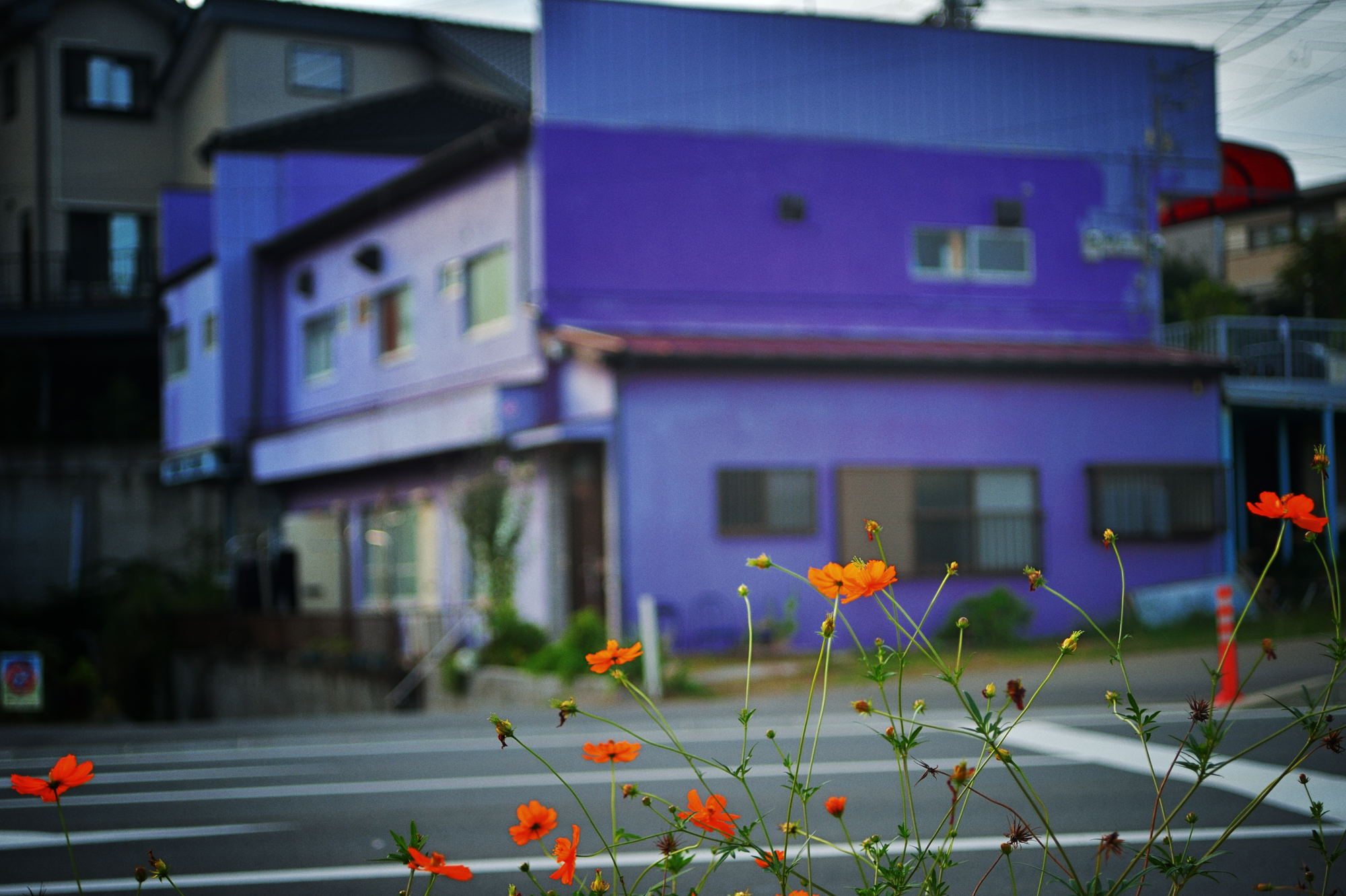 街の風景「Purple」