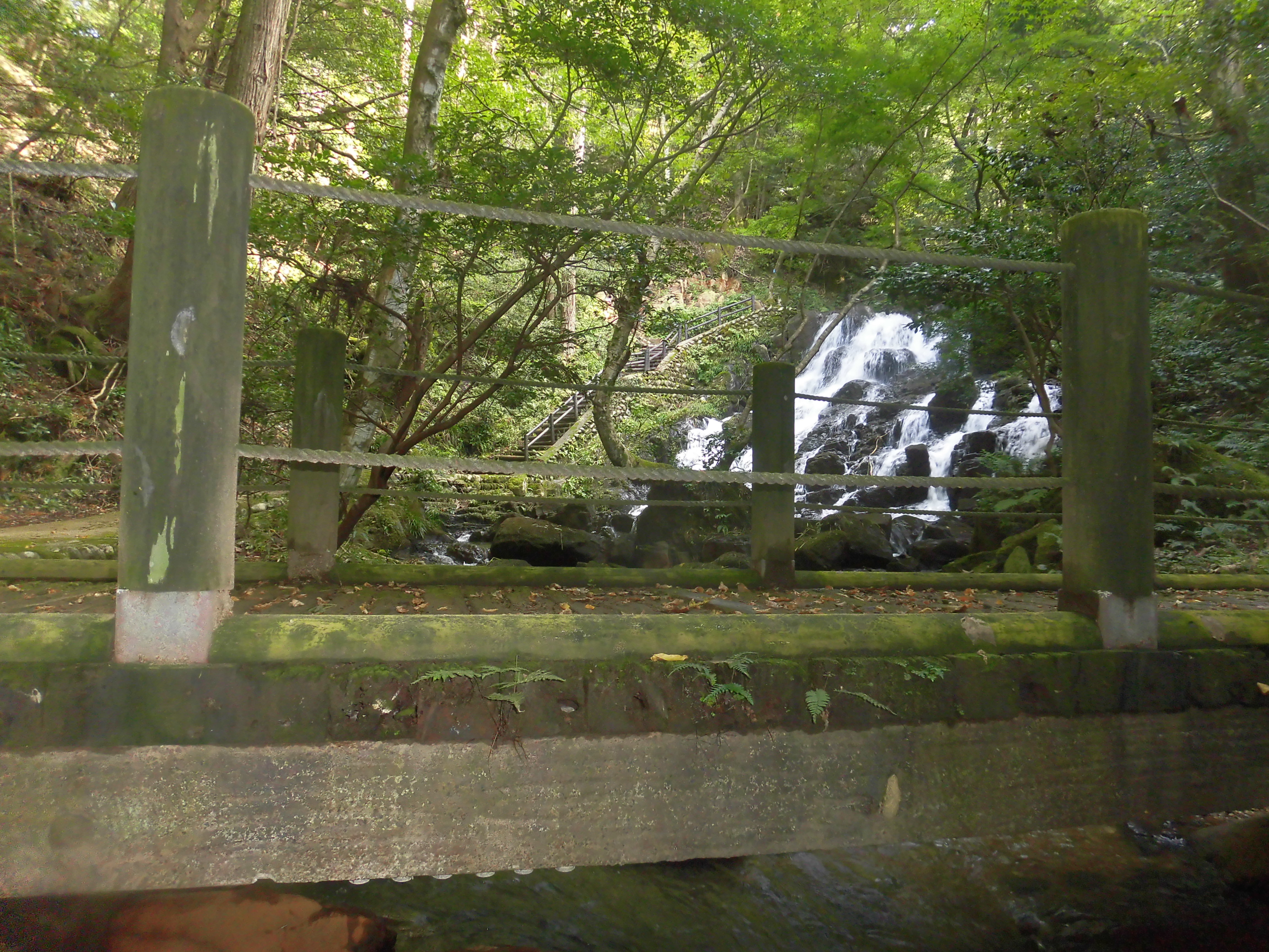 七つ滝☆橋 少し早い秋