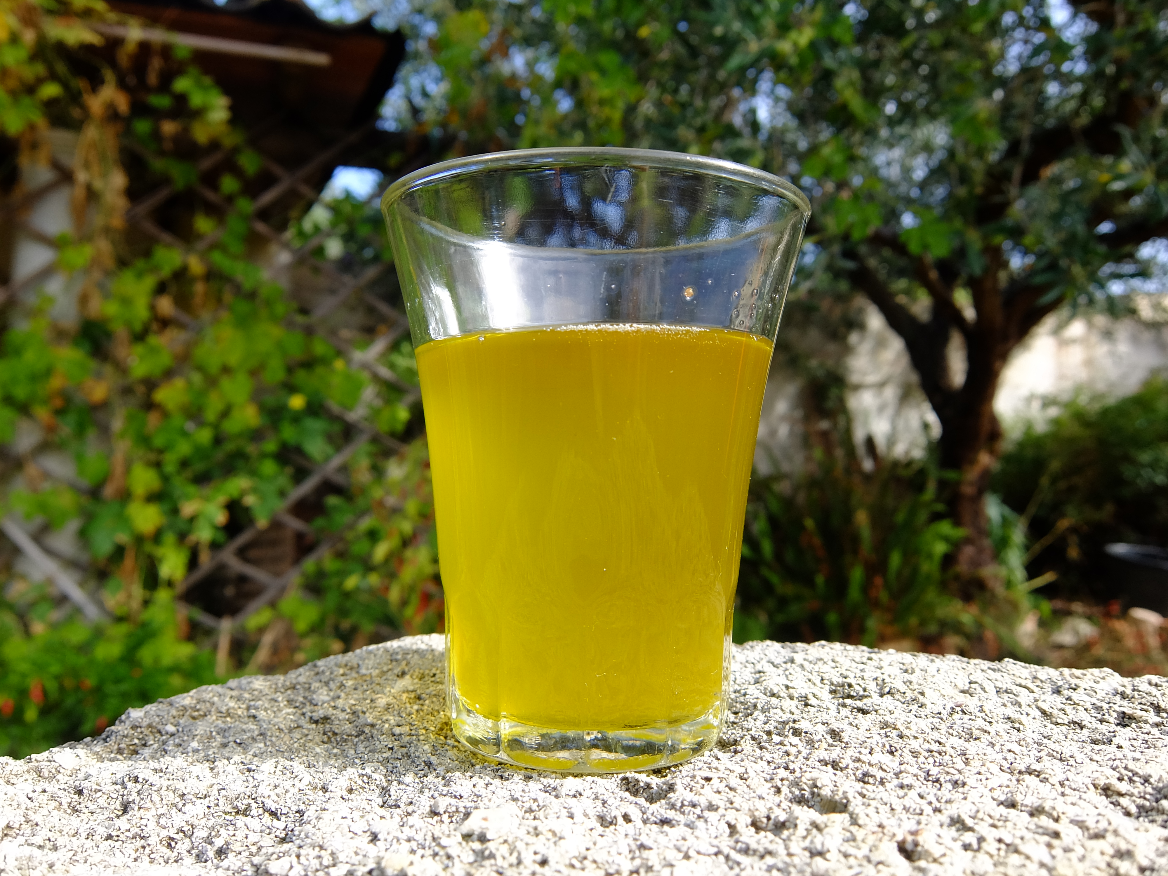 一杯、いかが!?