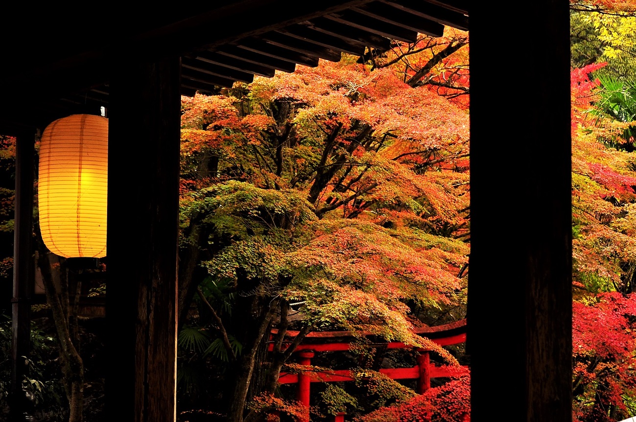 見渡せば紅葉