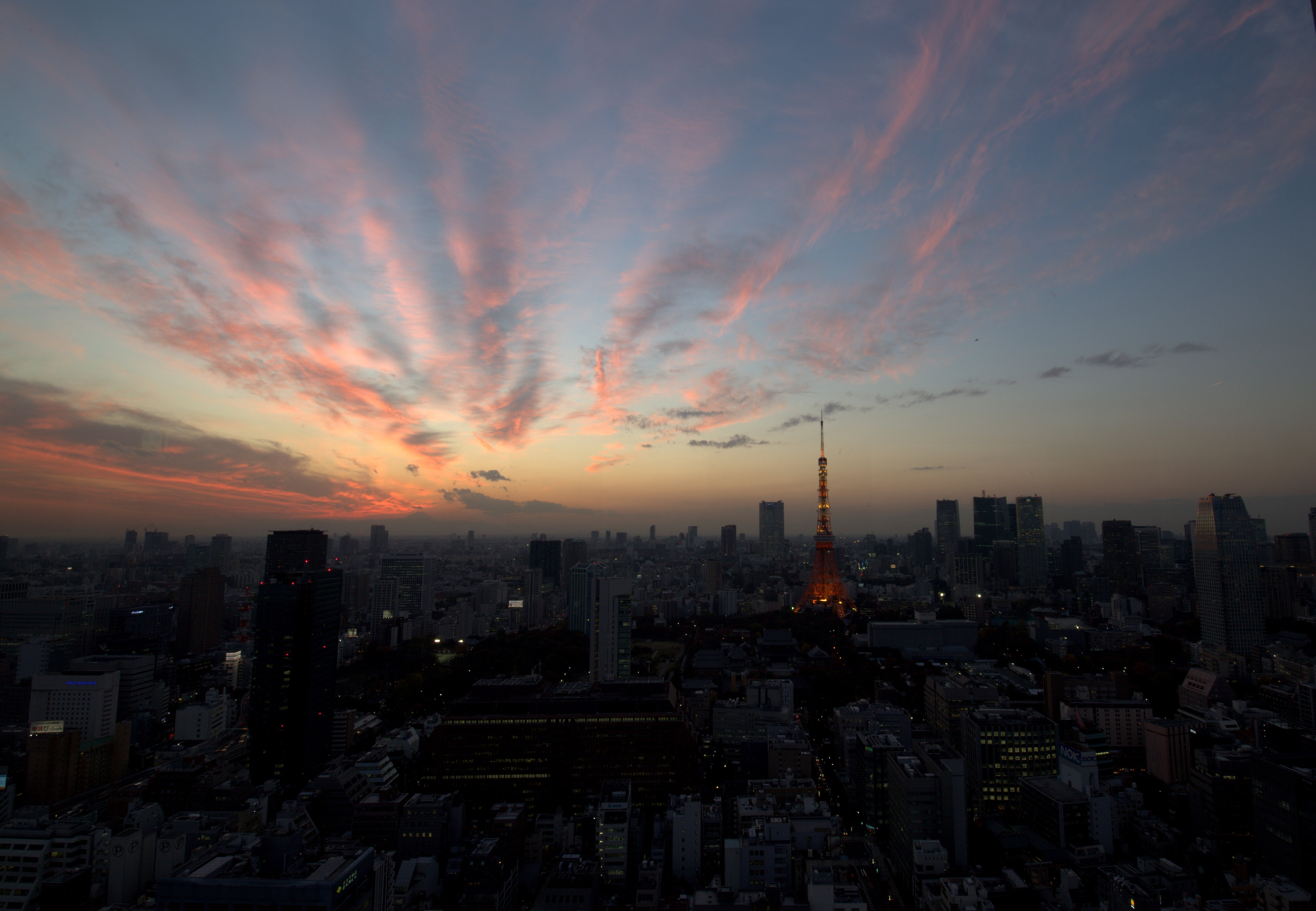 東京タワーと小さな富士山 ( ´∀` )