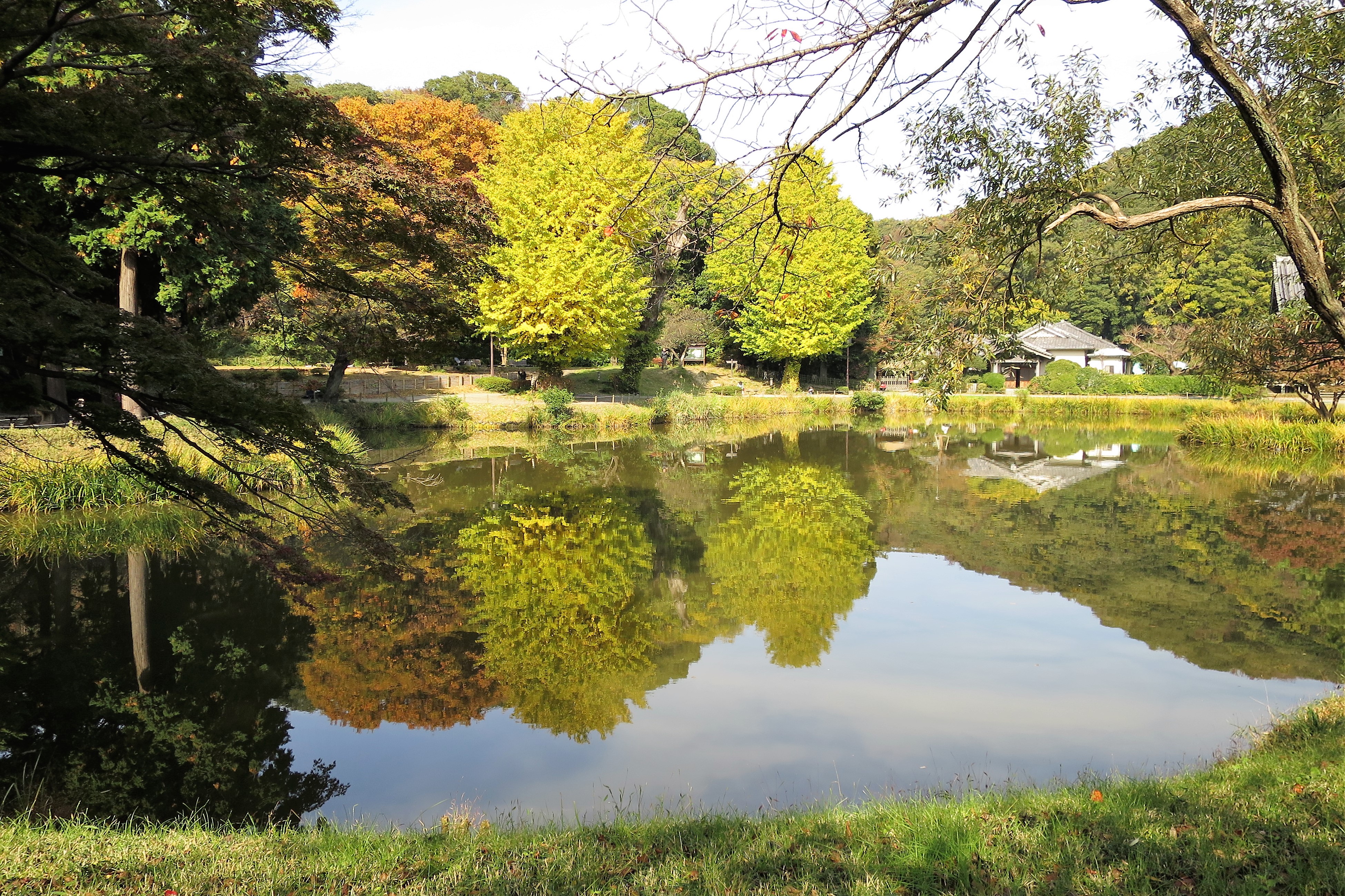 山が燃える