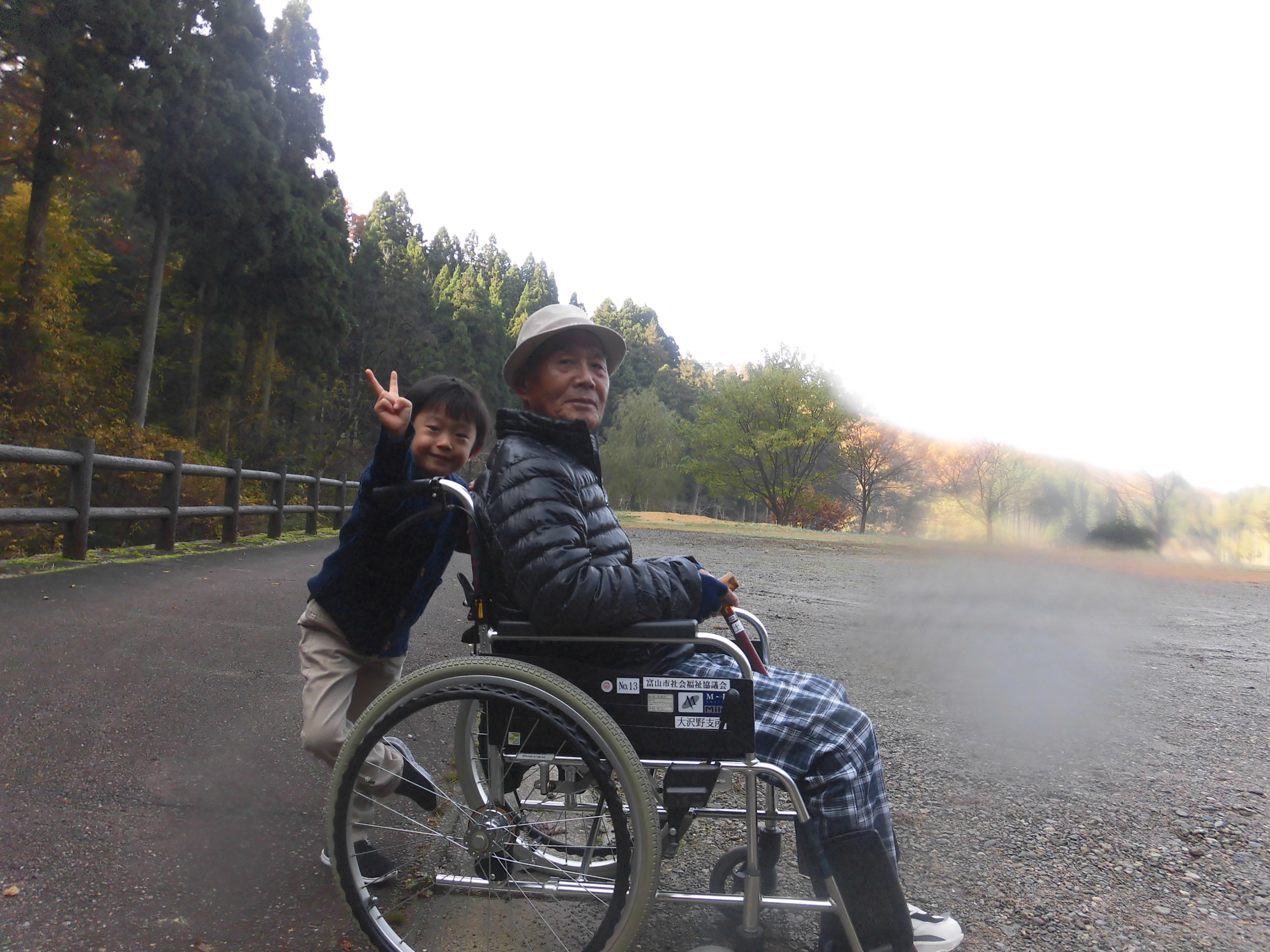 孫に車椅子押されて感じる秋