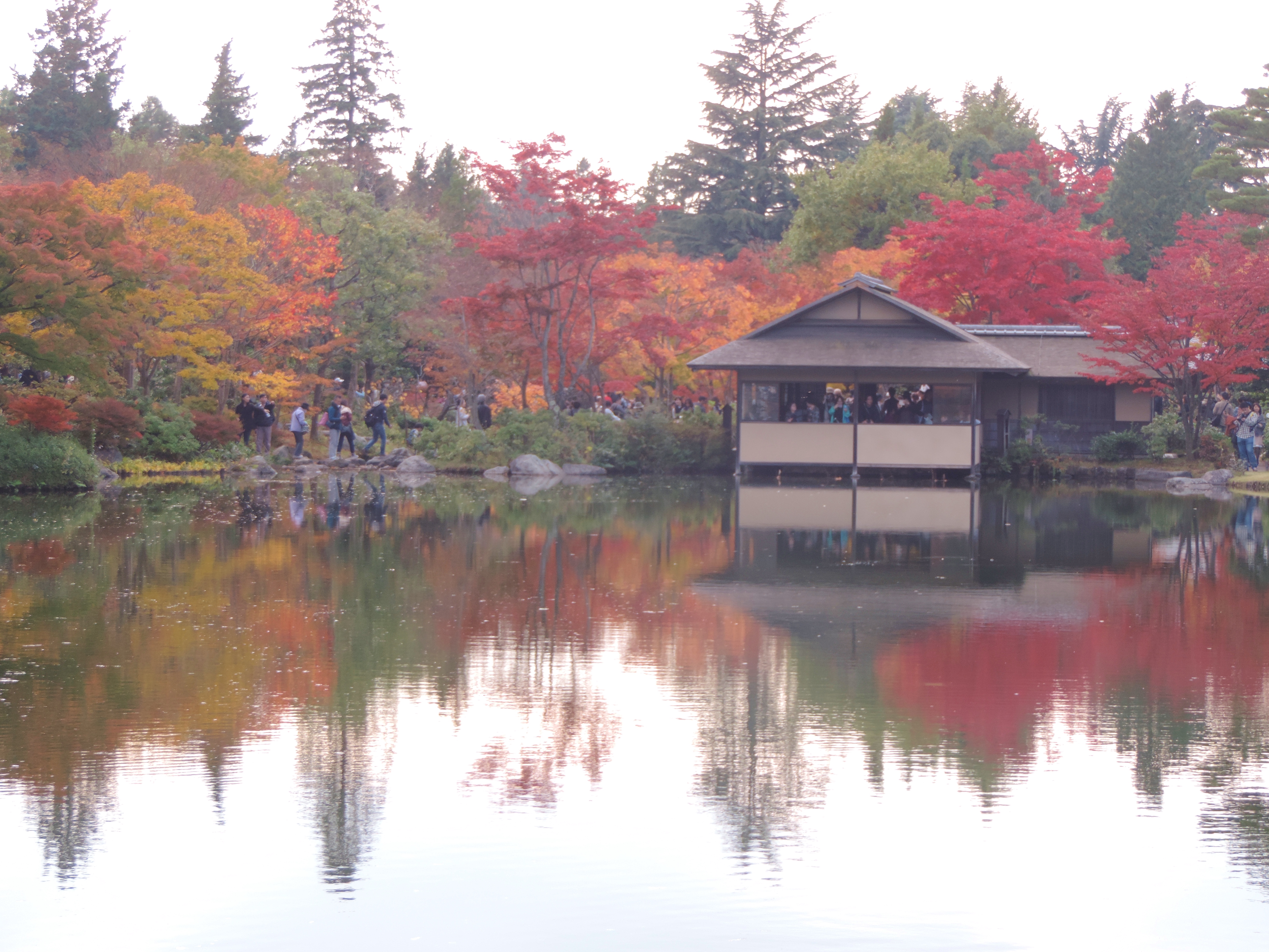 水鏡に反映する紅葉・黄葉