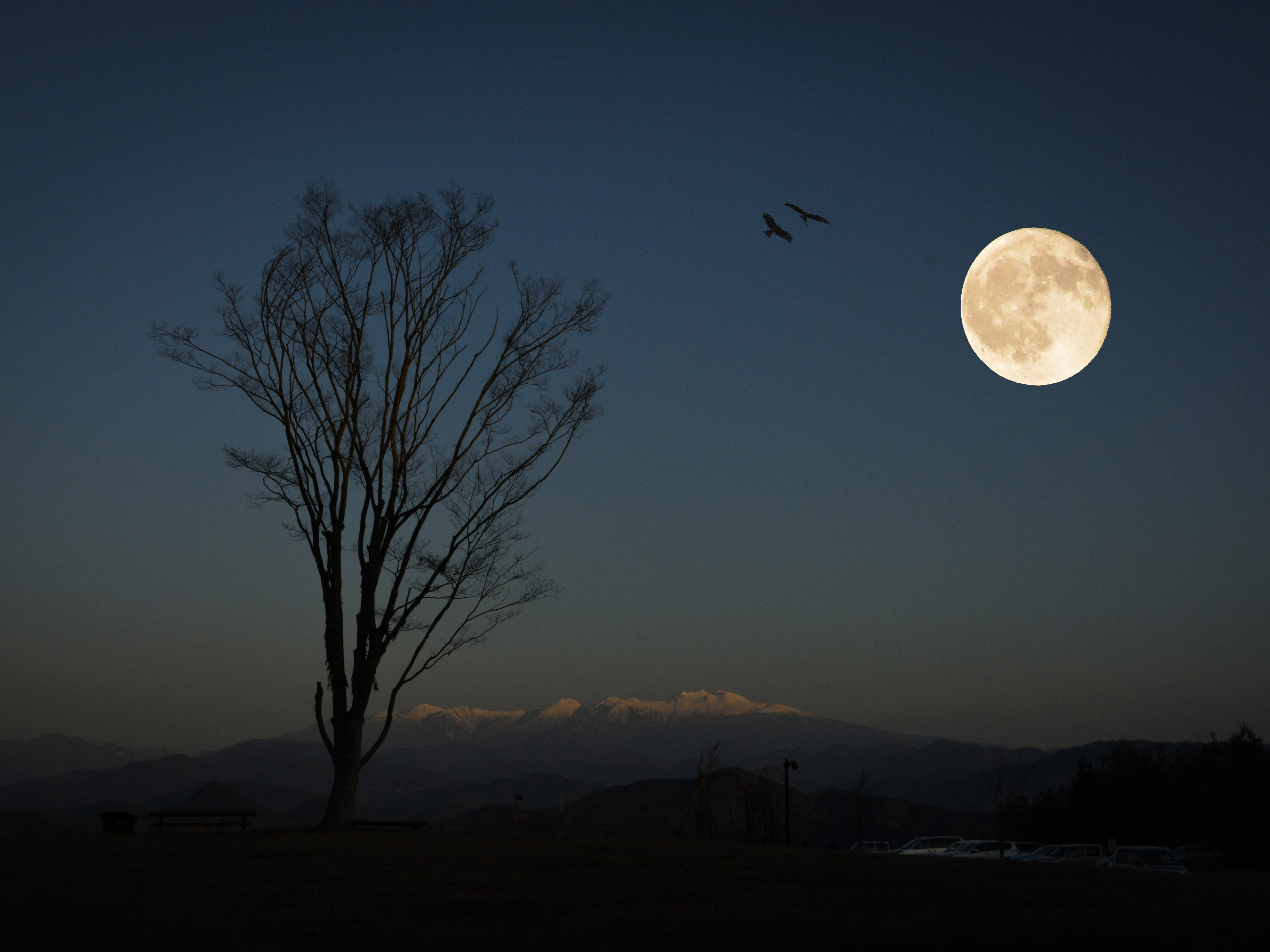 満月の夜