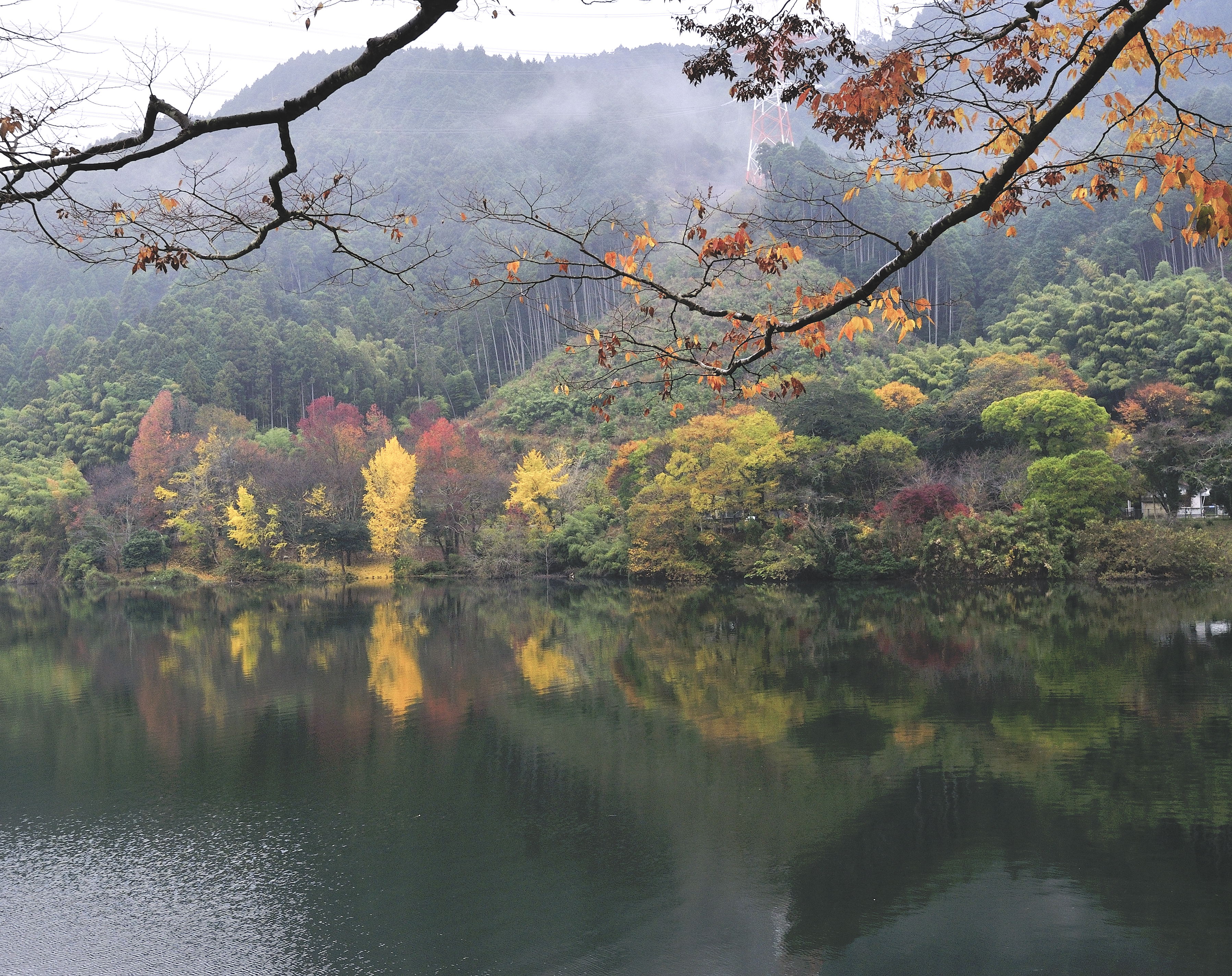 晩秋の湖畔