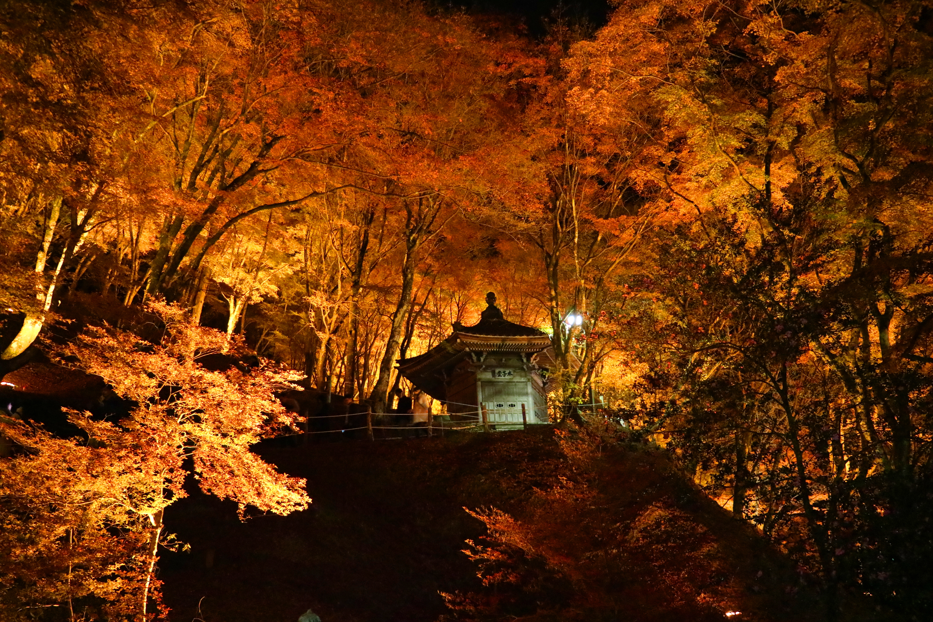 燃え立つ山