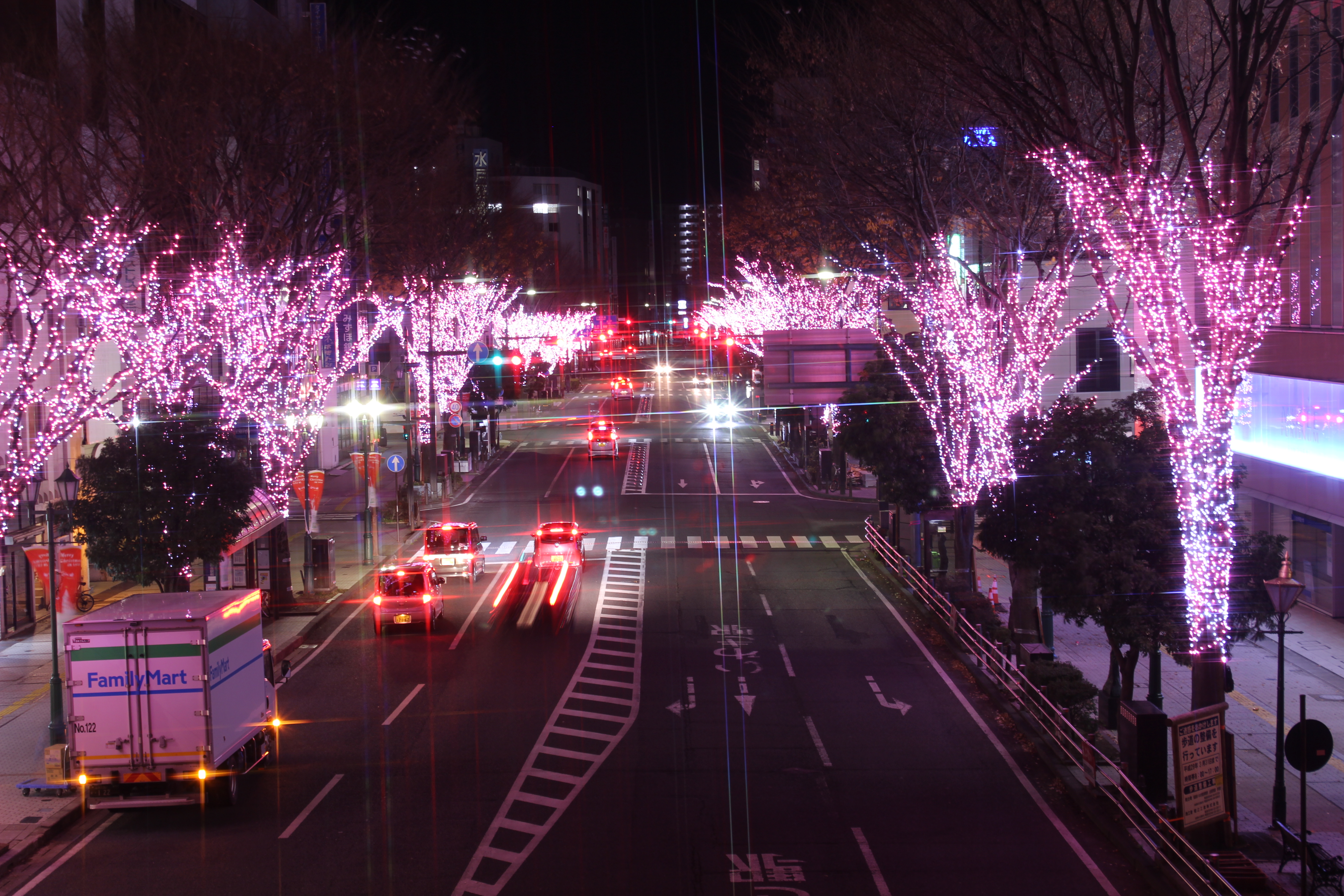 桜のイルミネーション