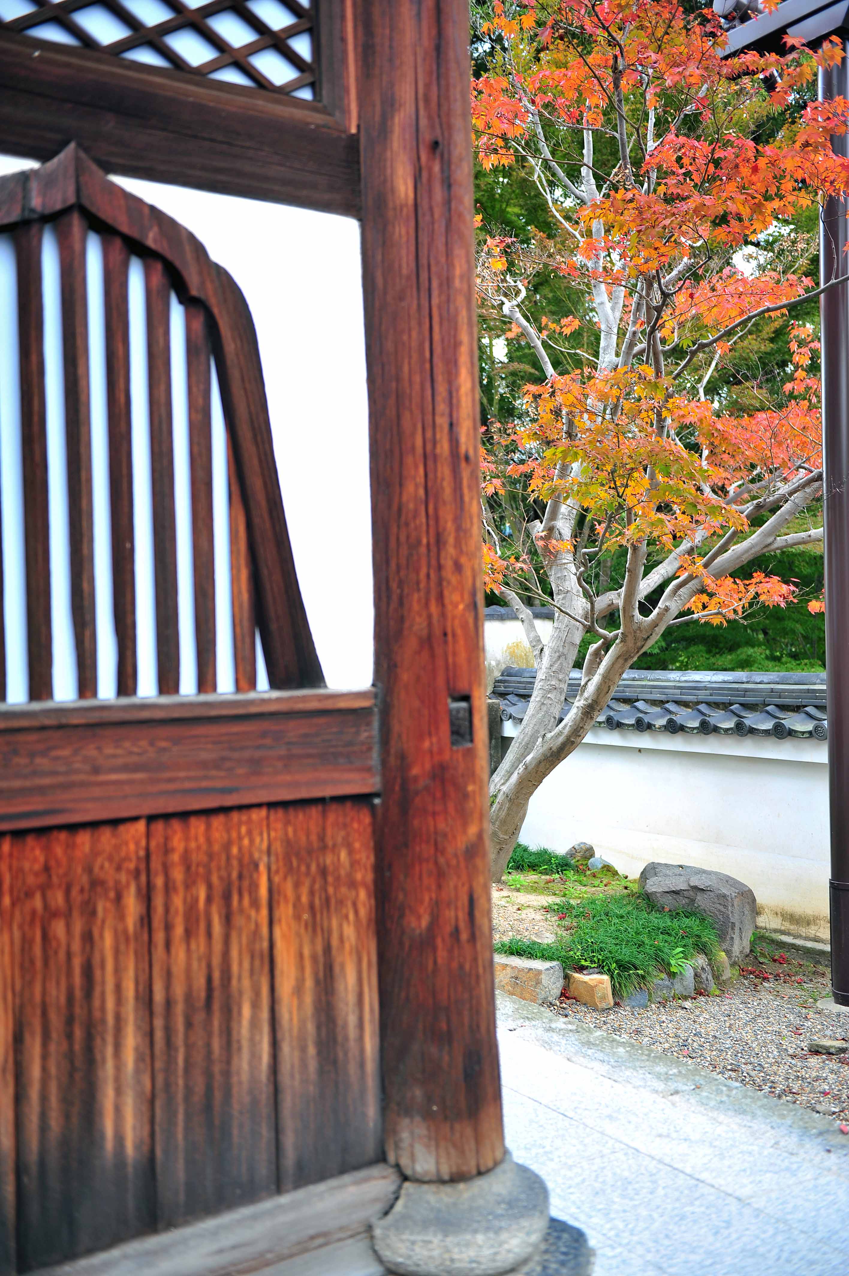 3089-38 平等院