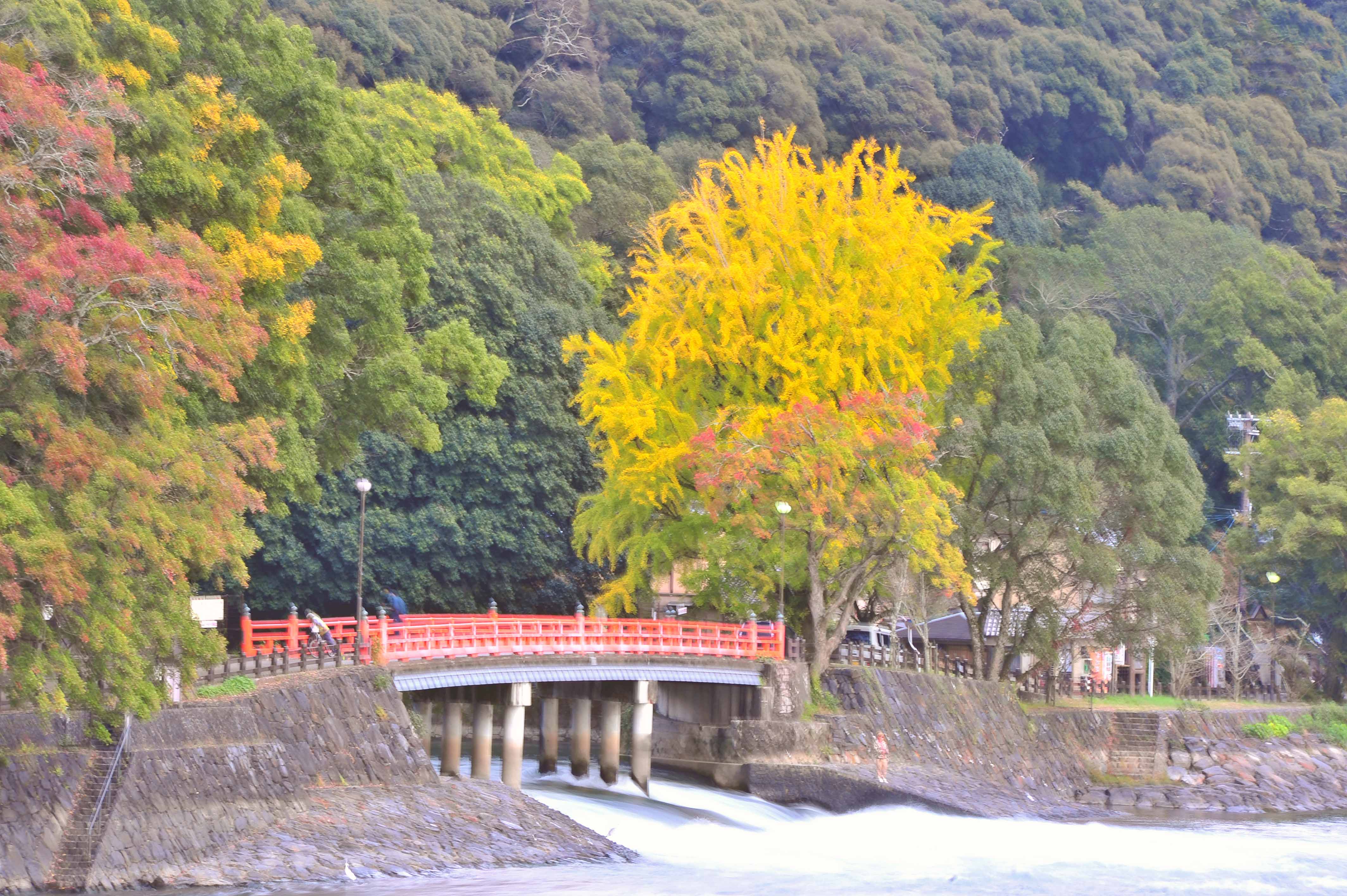 3093-42 平等院