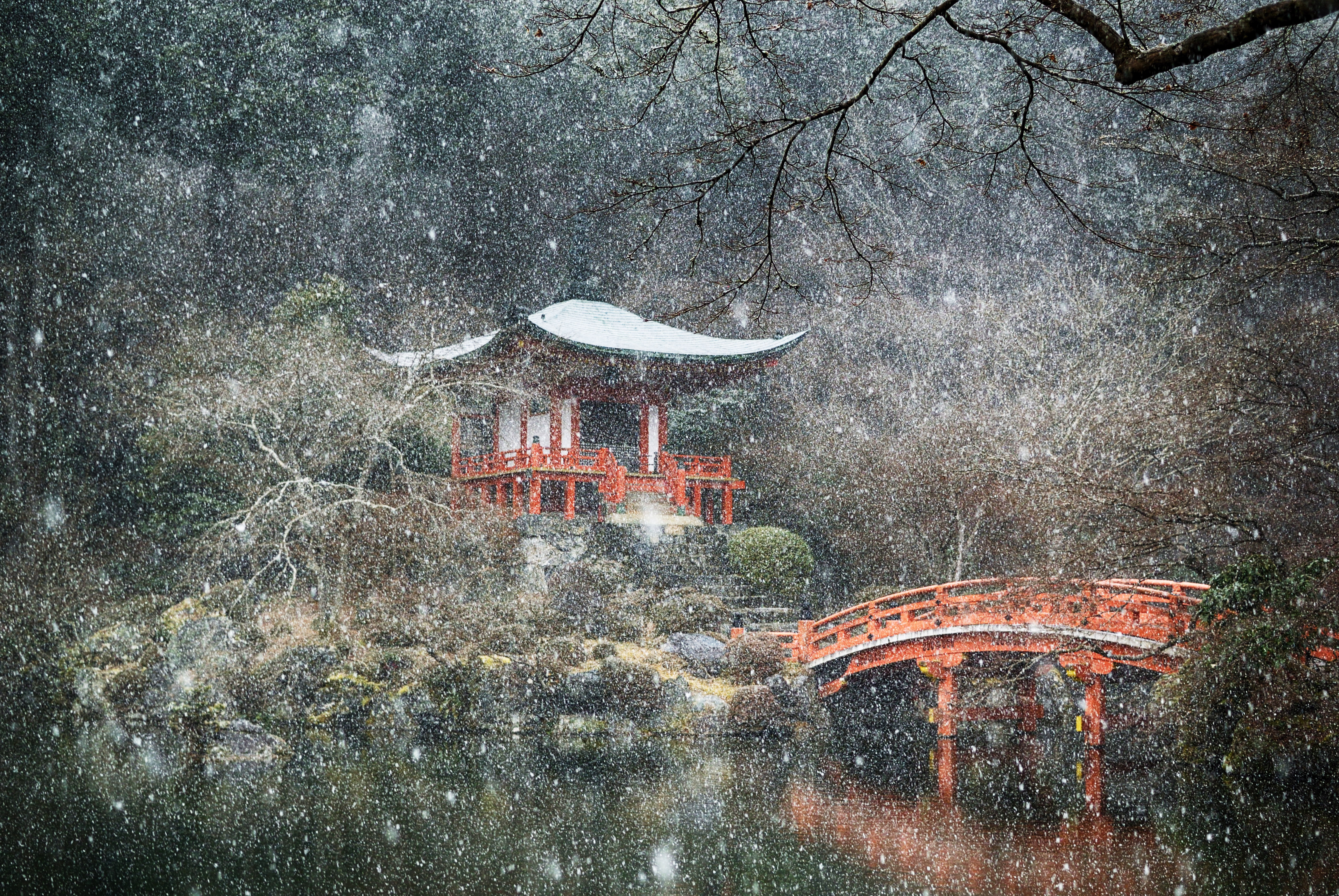 醍醐の花見も冬景色 ~雪を期待しての醍醐寺 Ⅲ~