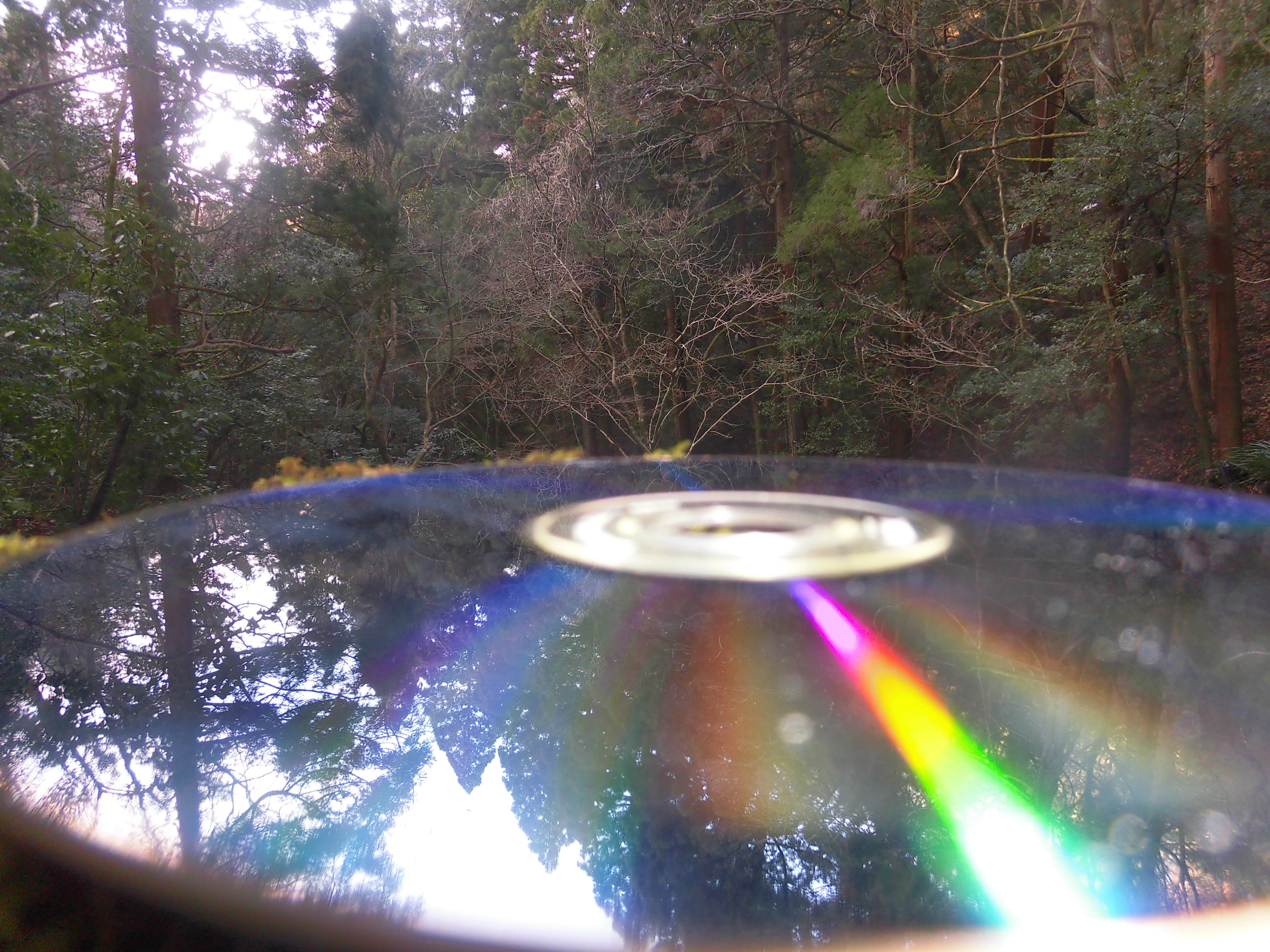 CDで滝の音、鳥の鳴き声、お聞きください♪