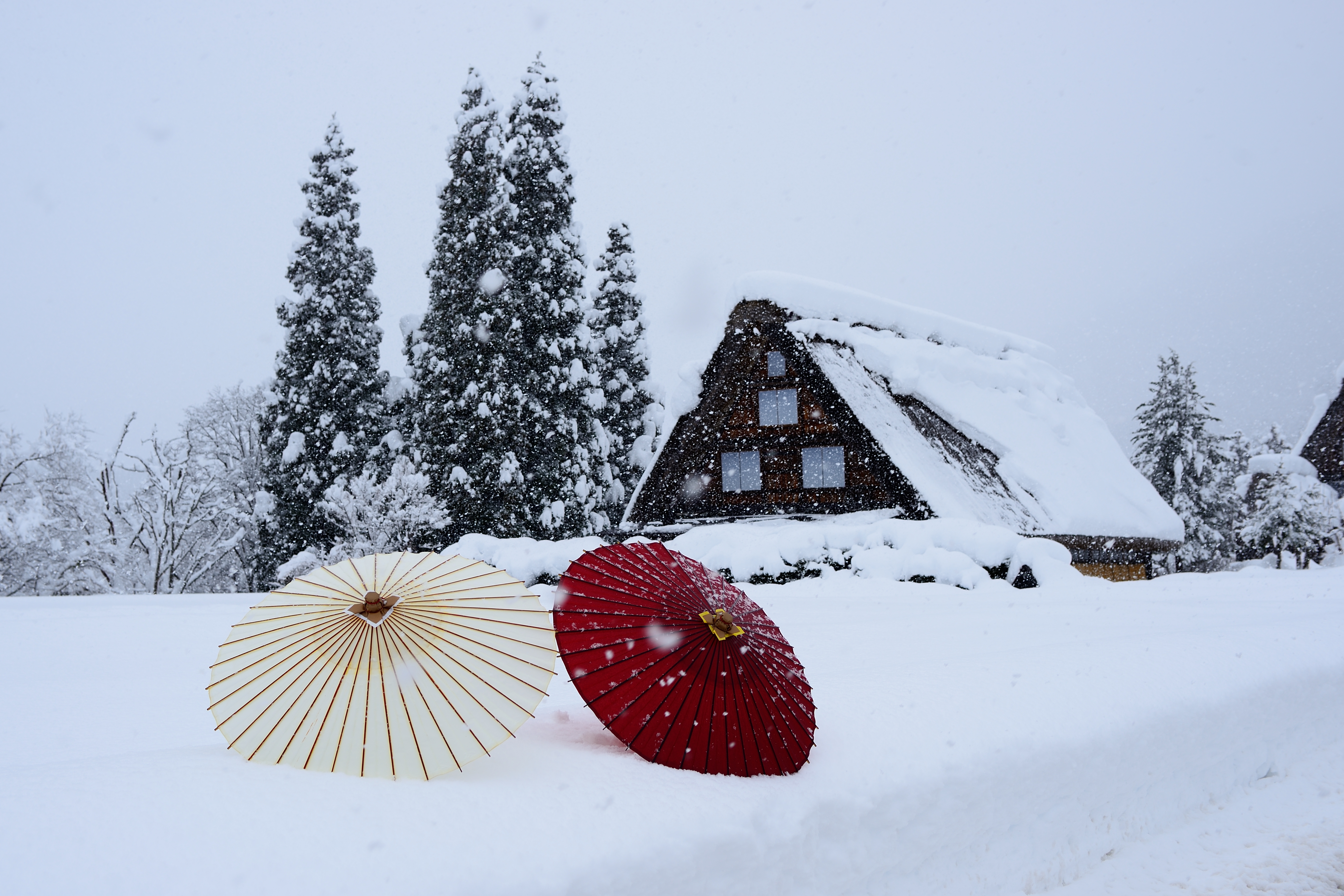 雪の日の白川郷