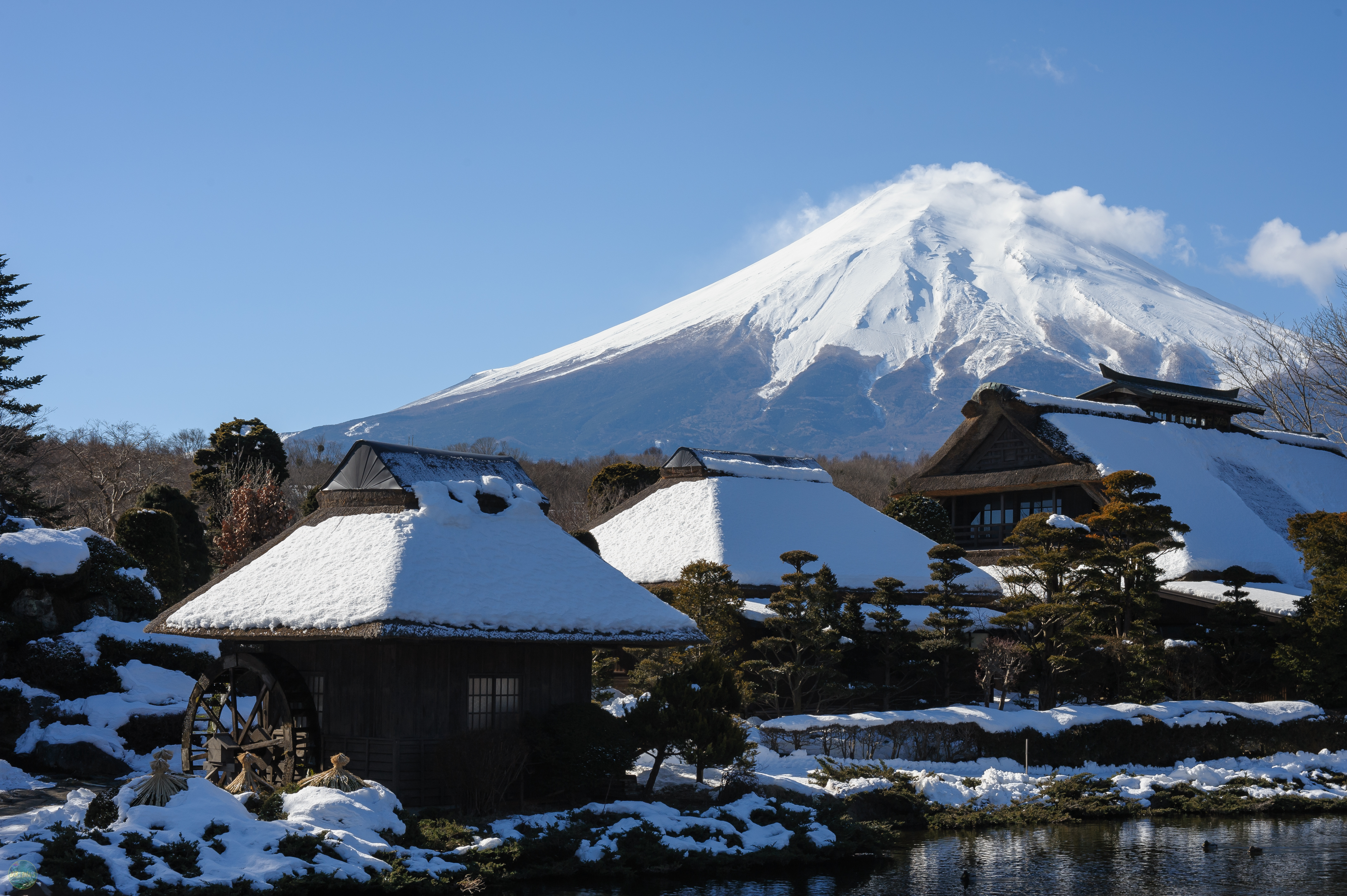 榛の木資料館
