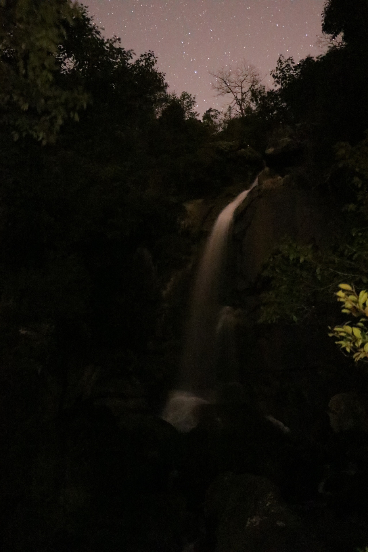 夜の滝
