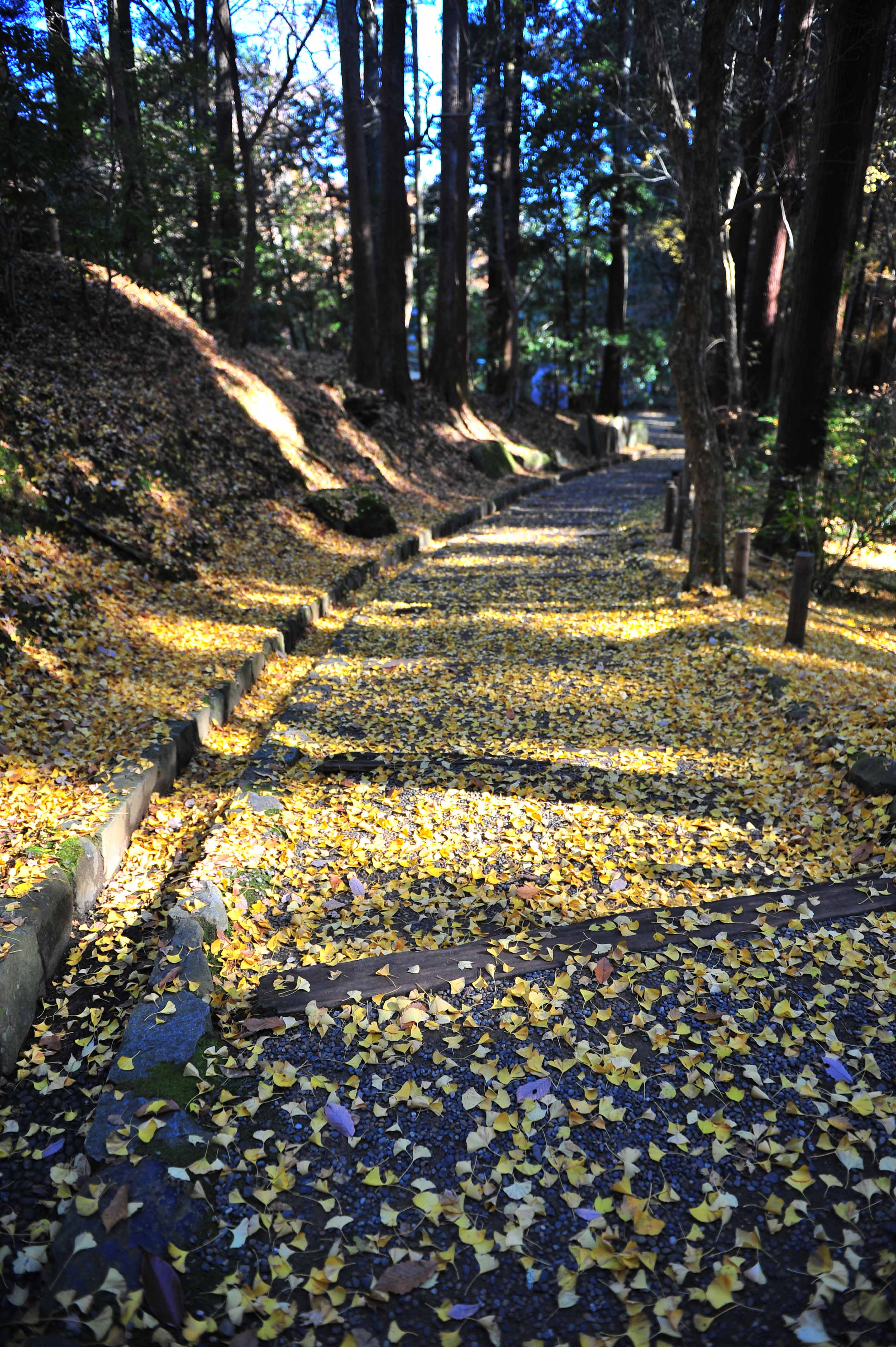 17-成田山