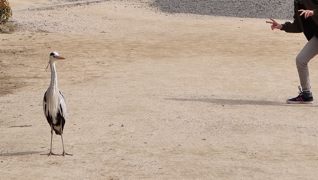 忍び寄る魔の手・・・