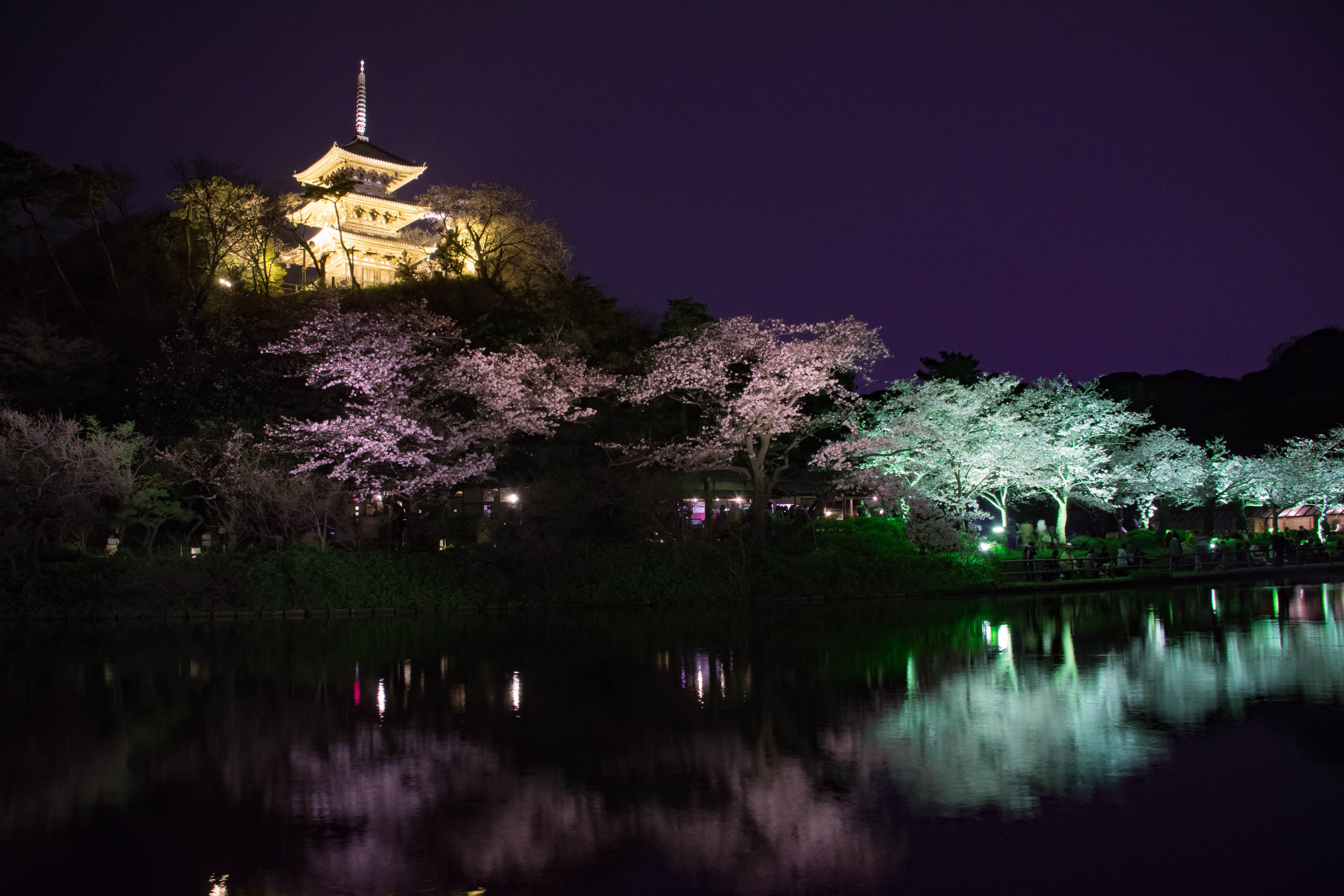 三溪園 2017