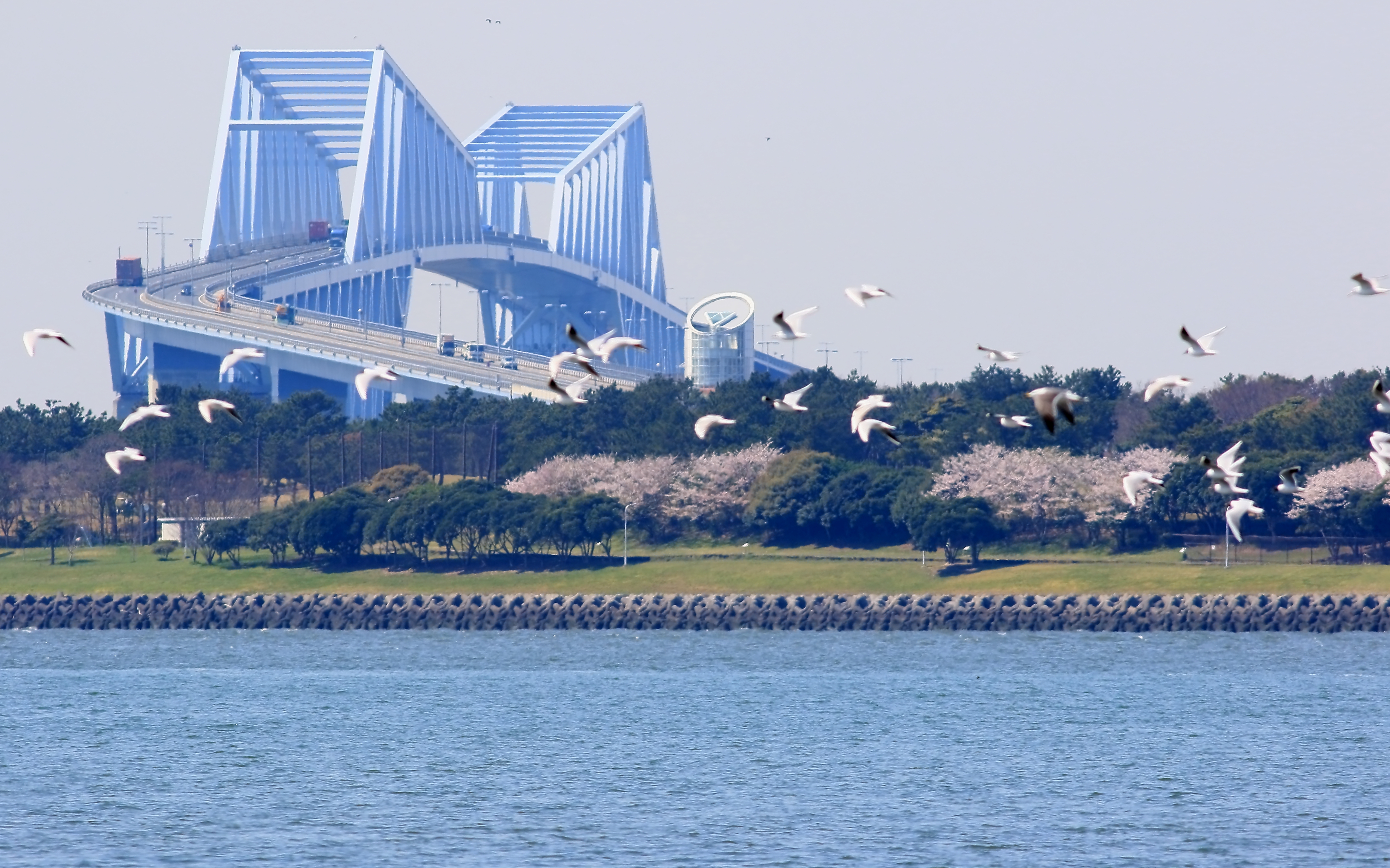 東京名所に東京都の鳥
