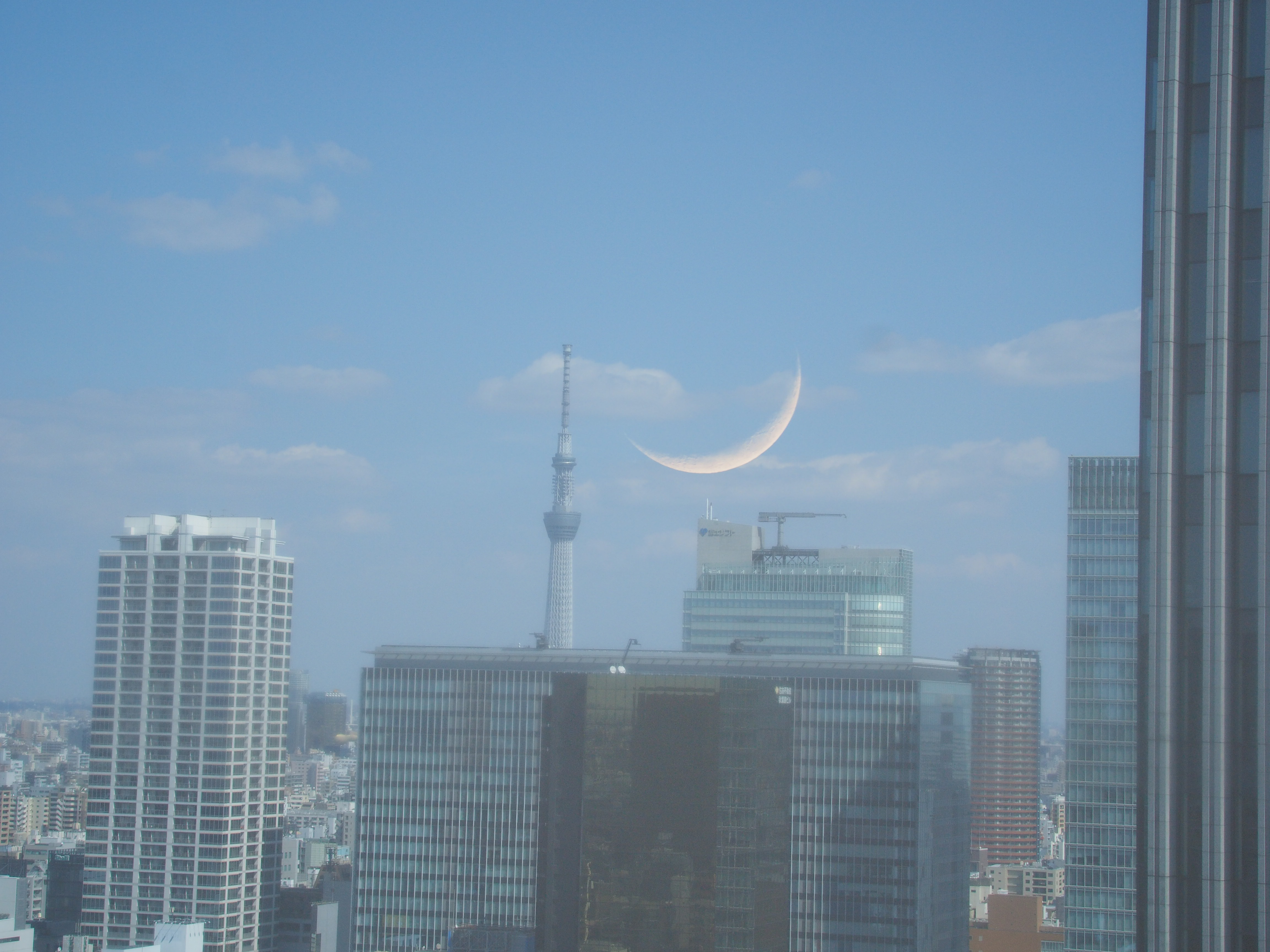 スカイツリーと三日月のコラボです
