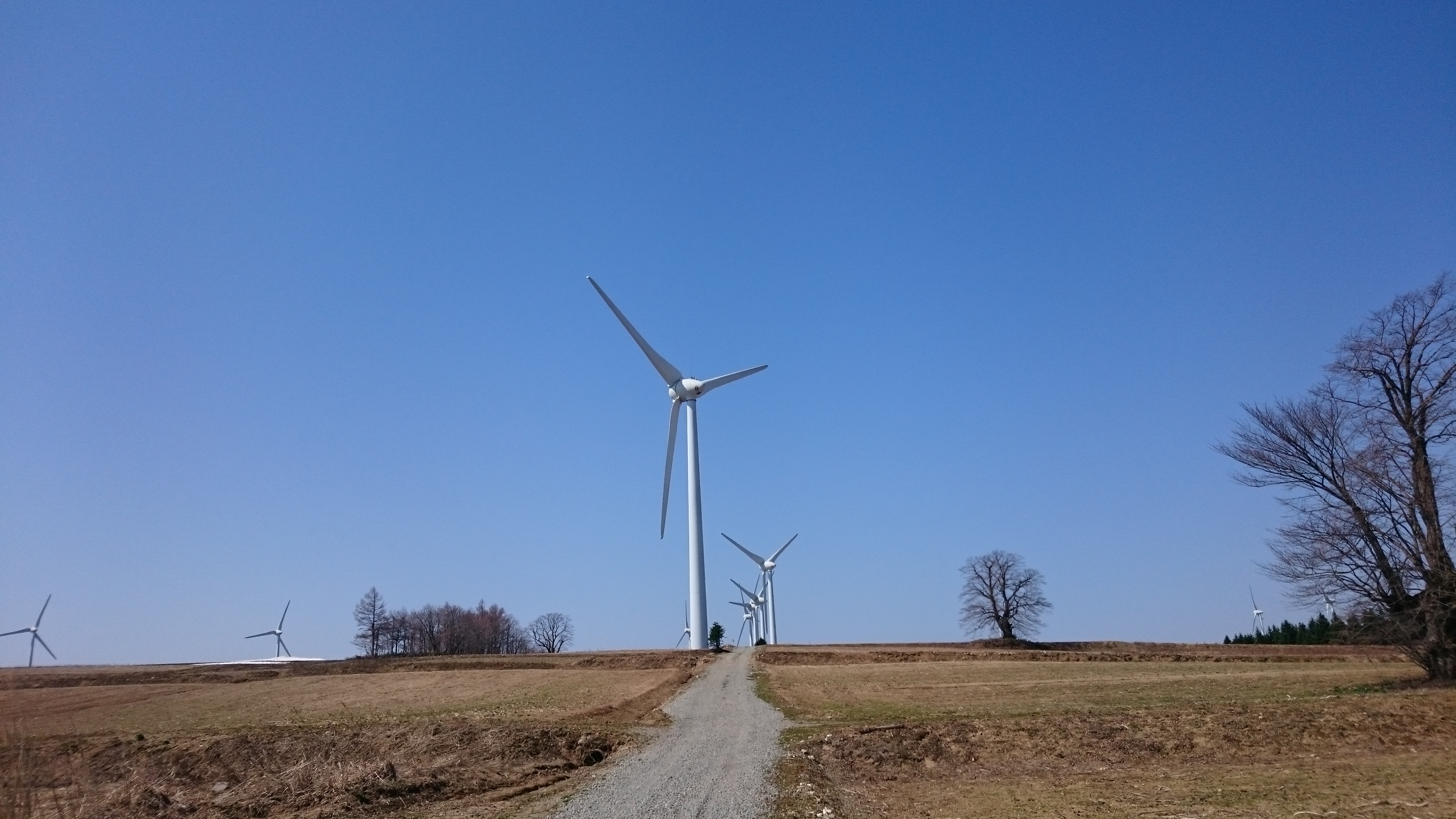 風力発電