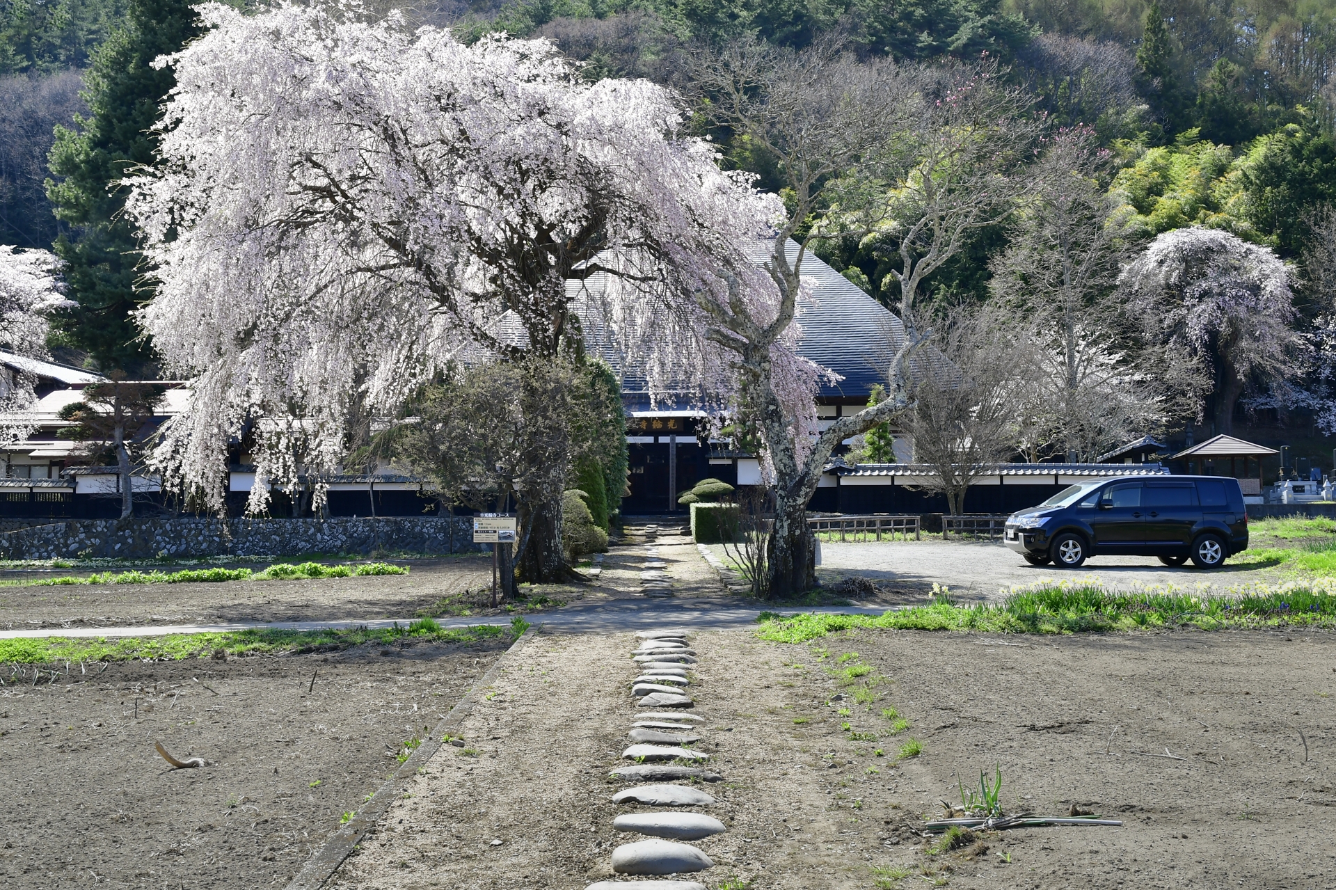 村の寺