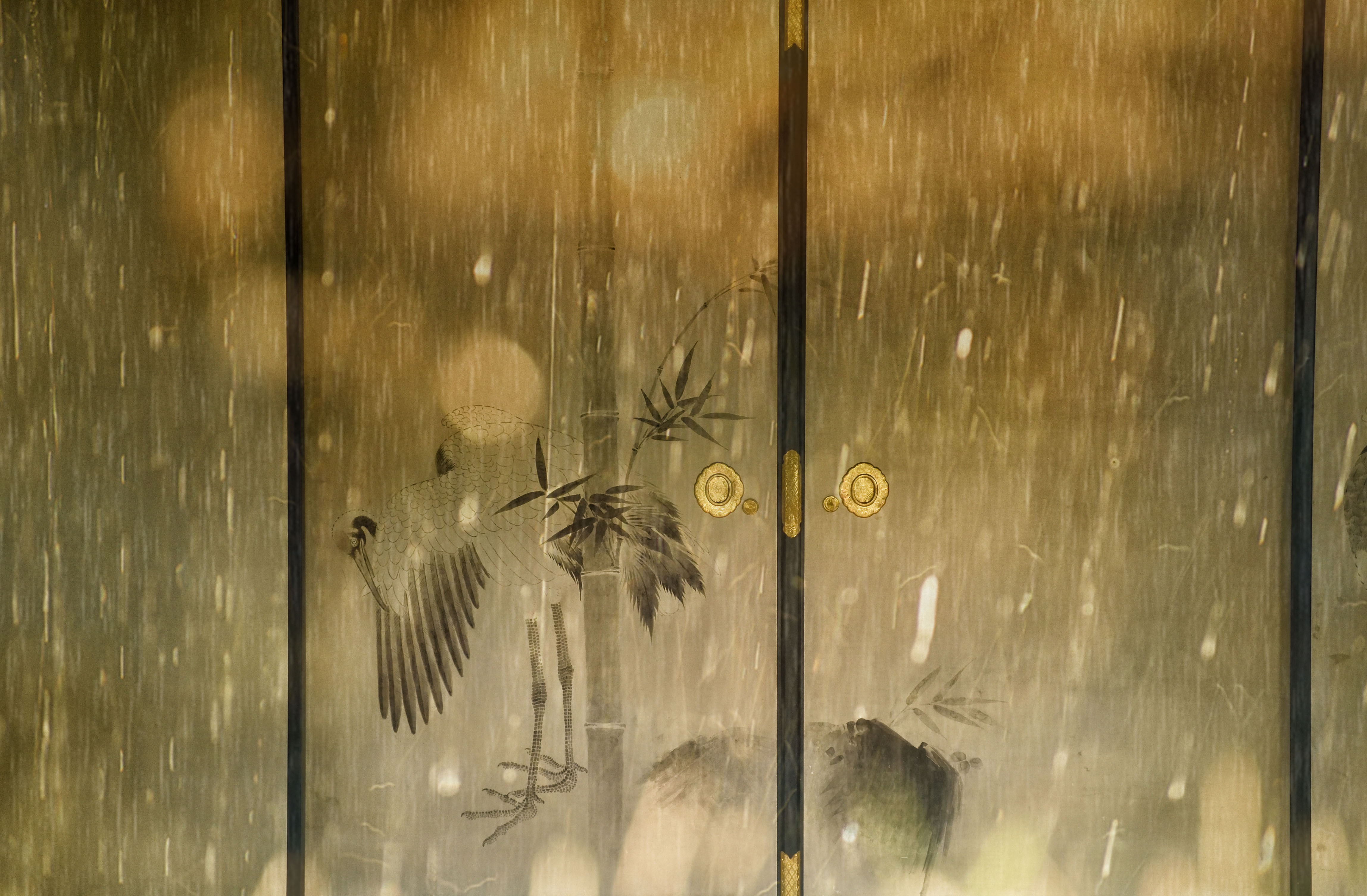 襖にもたらされた雷雨 ~梅雨Ⅰ~