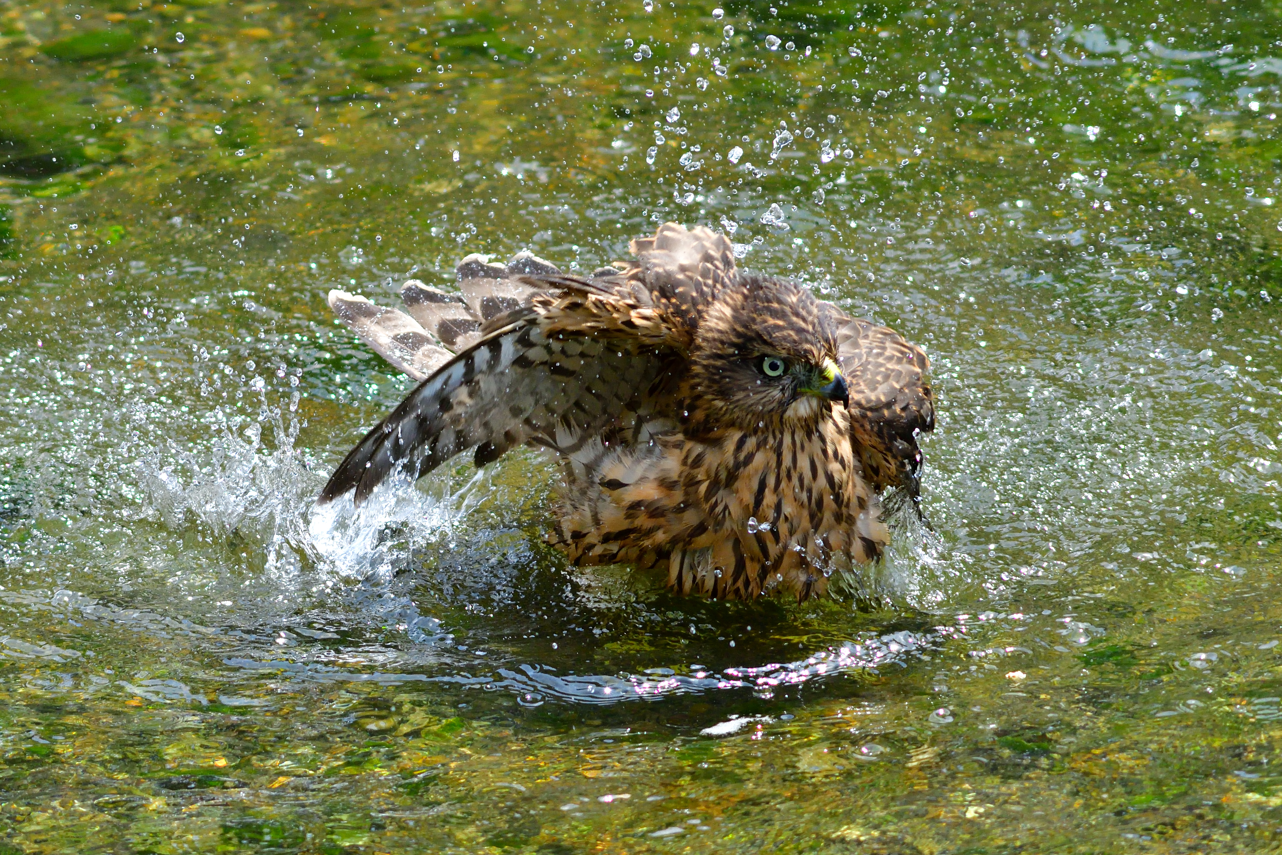 あーっ気持ちいい!