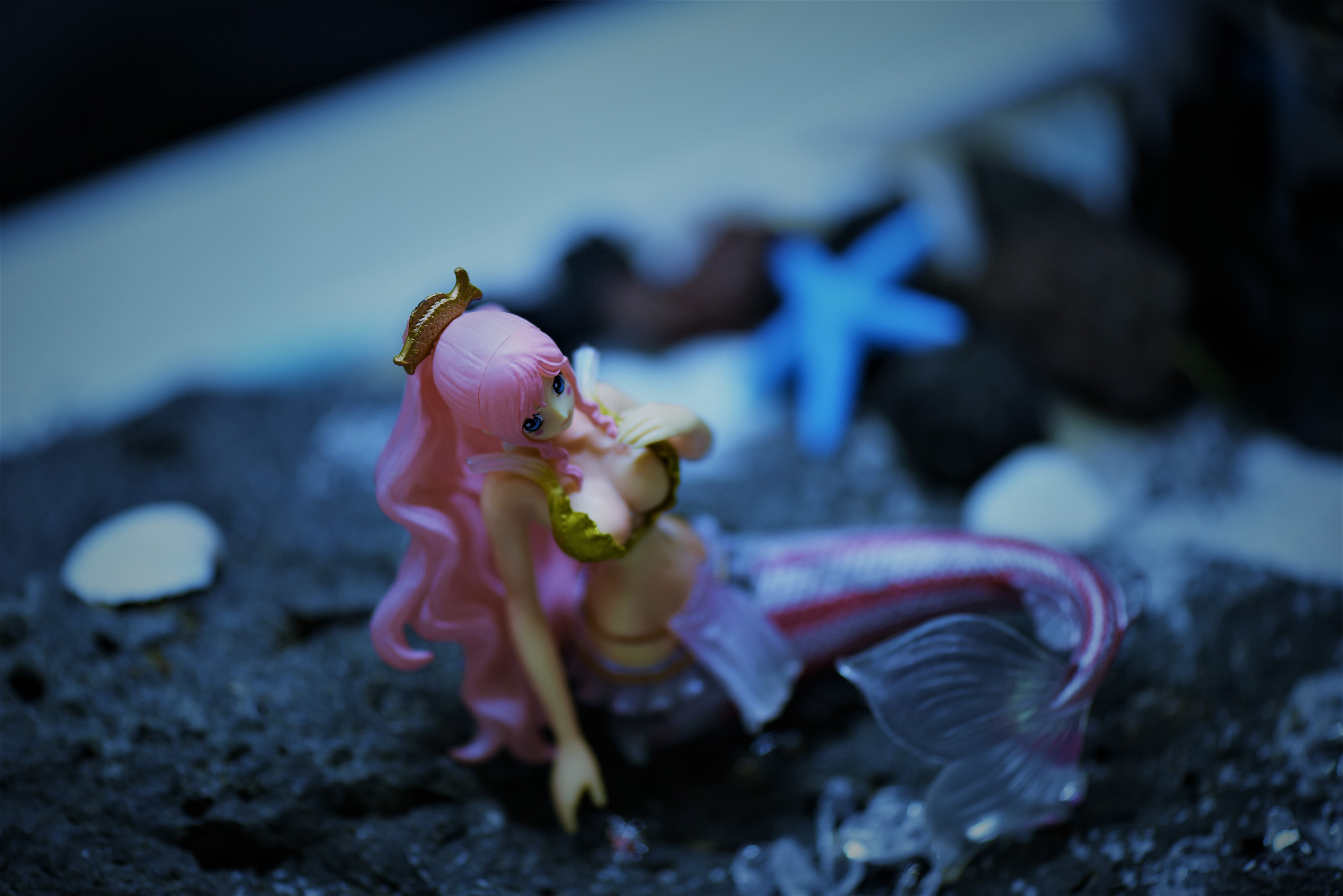 出会った人魚姫