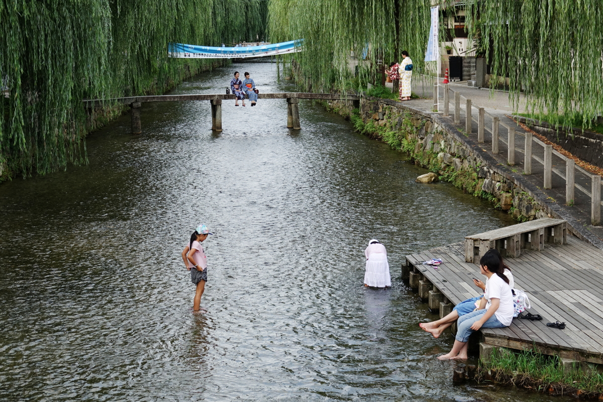 京都白川 夏風情(?)
