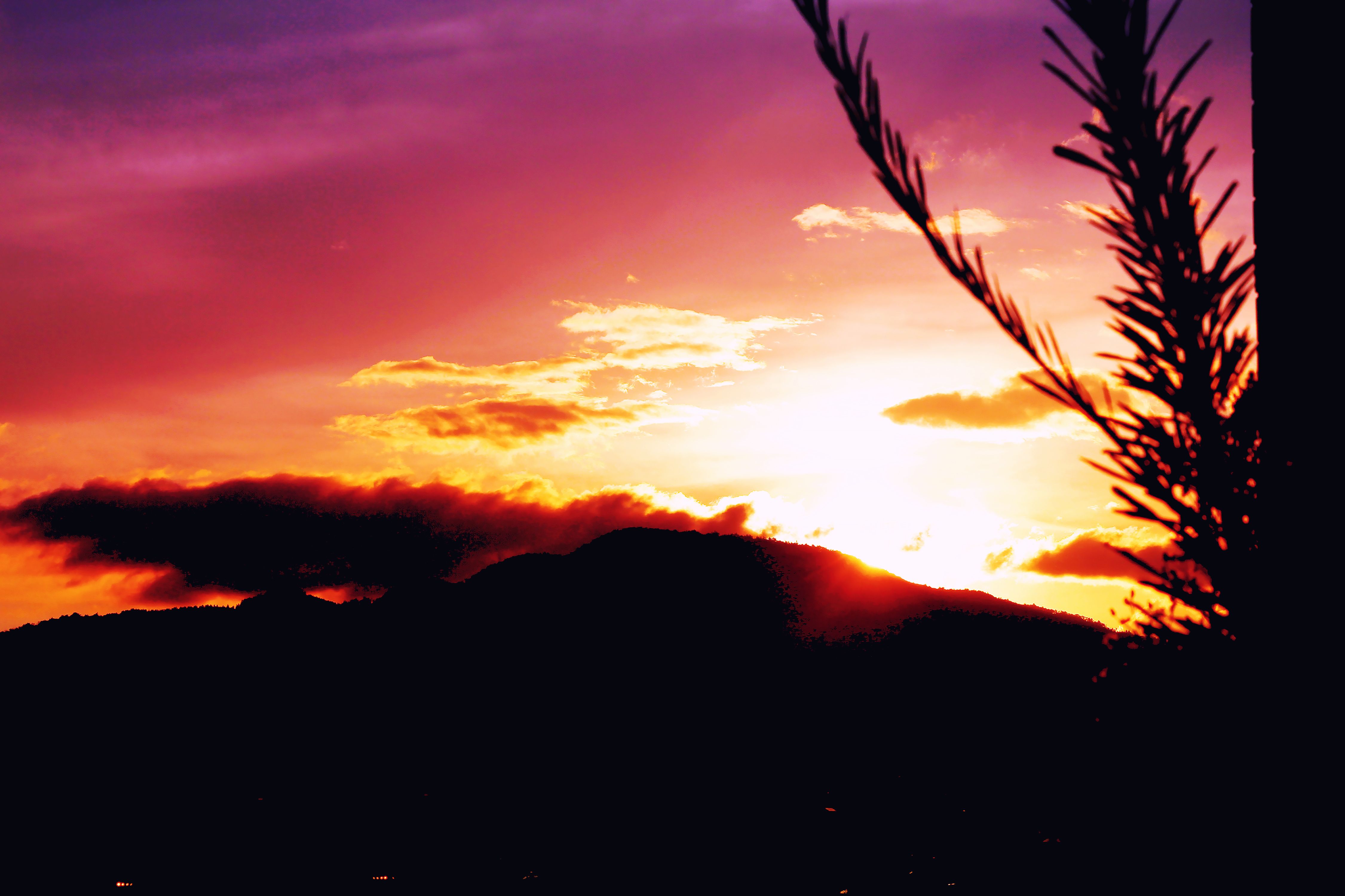 夏の夕暮れ・・・
