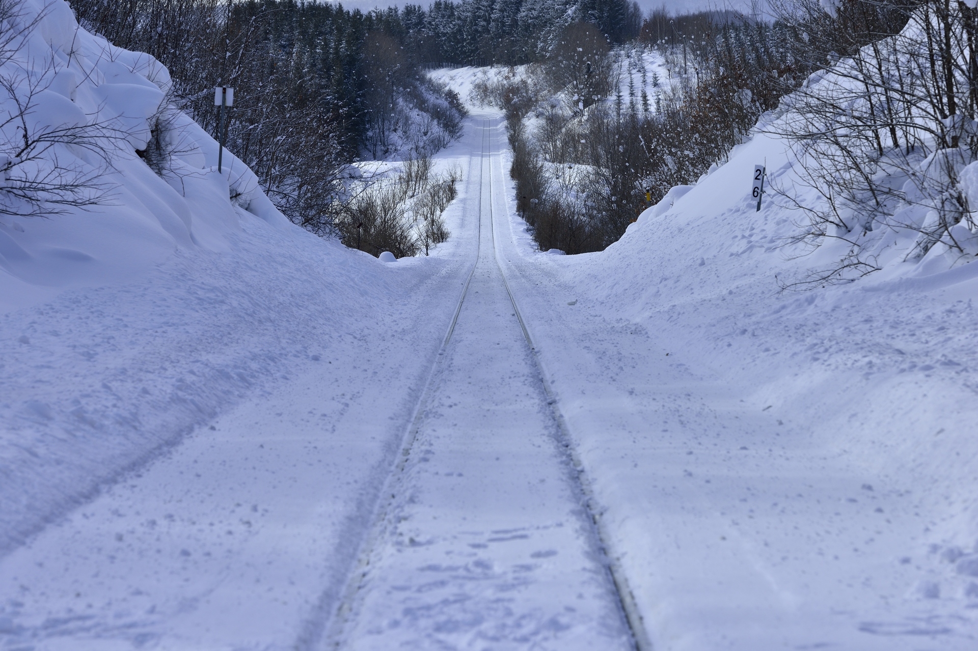 雪のジェットコースター