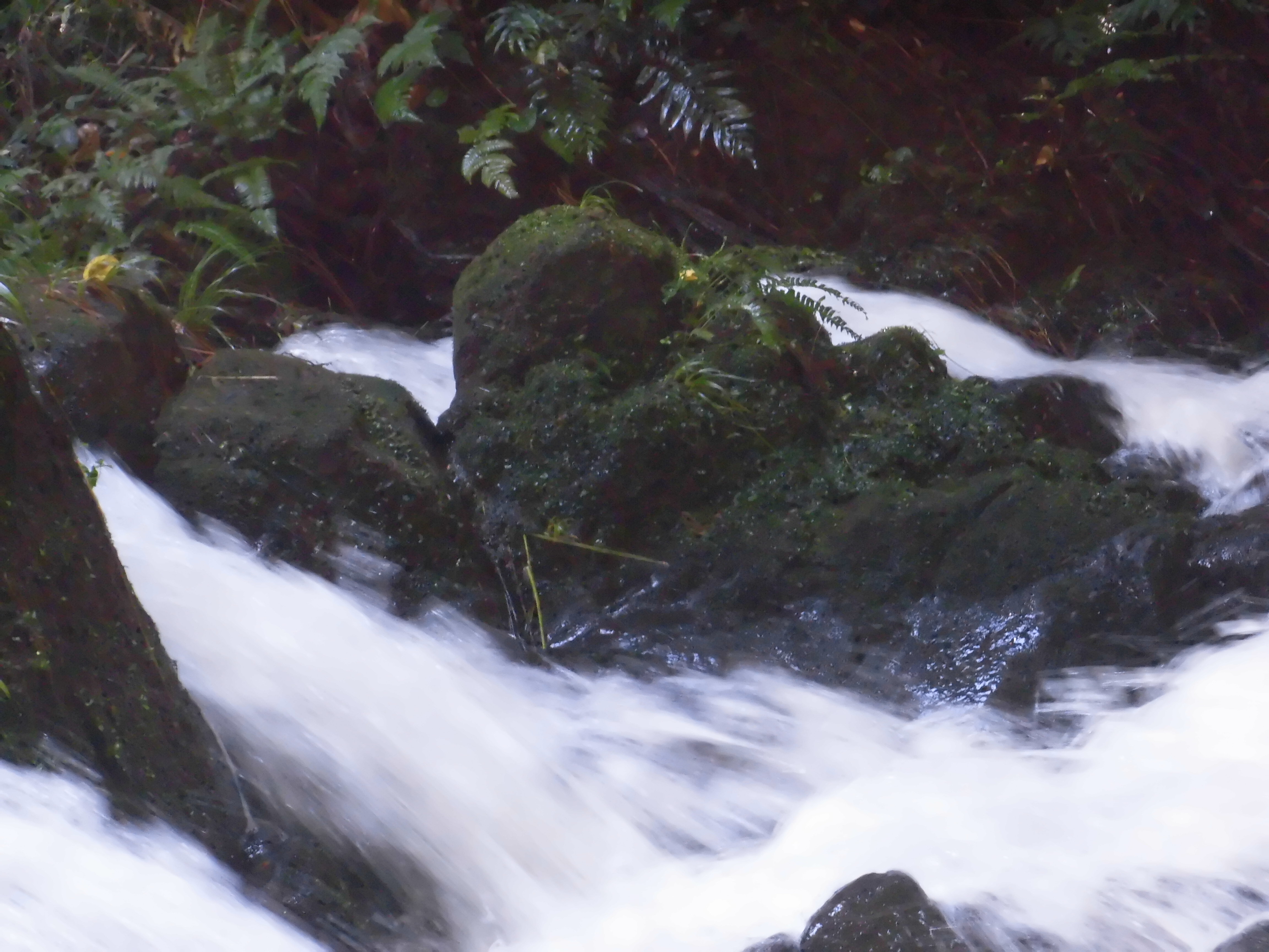 白糸の滝