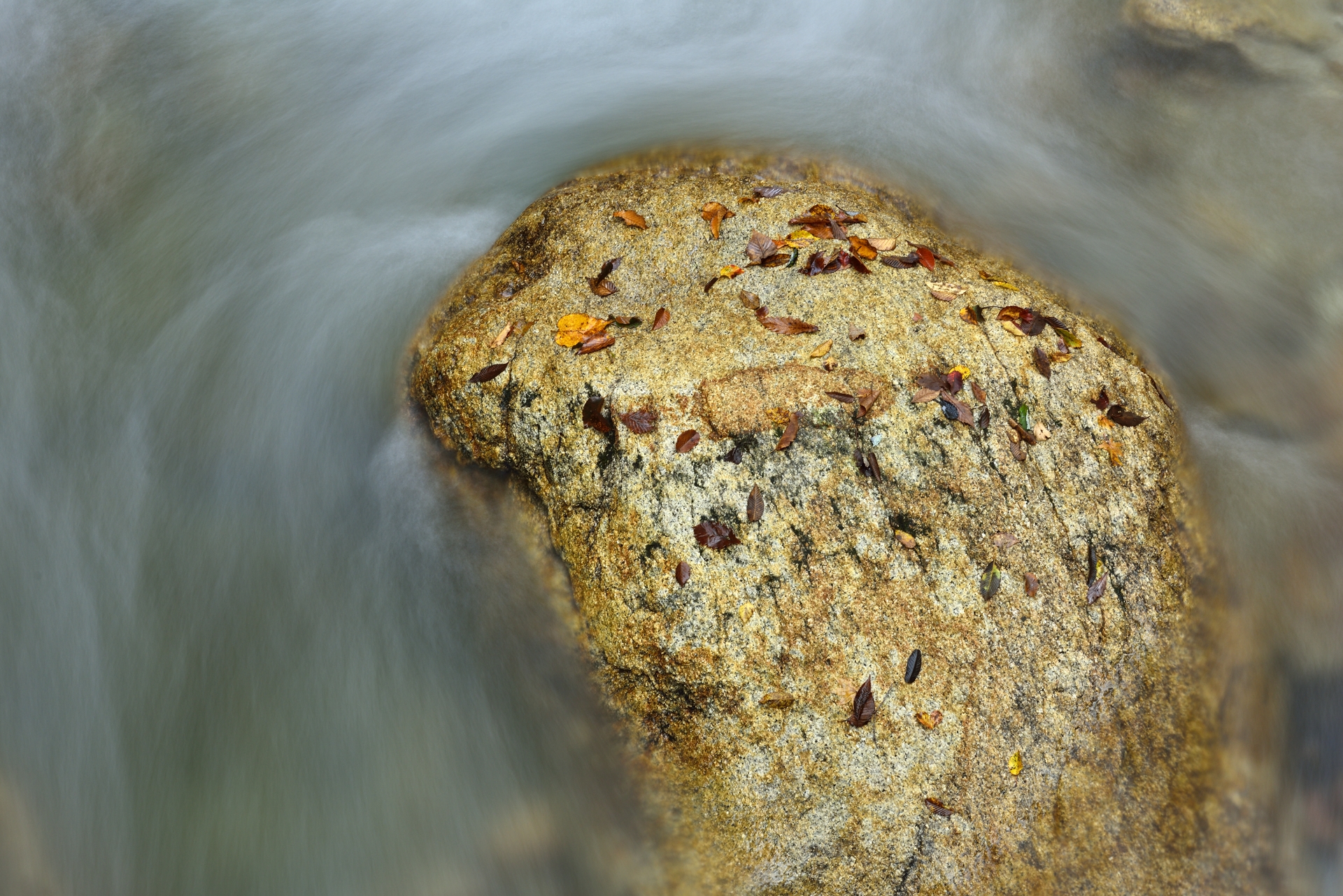 水と岩と落ち葉