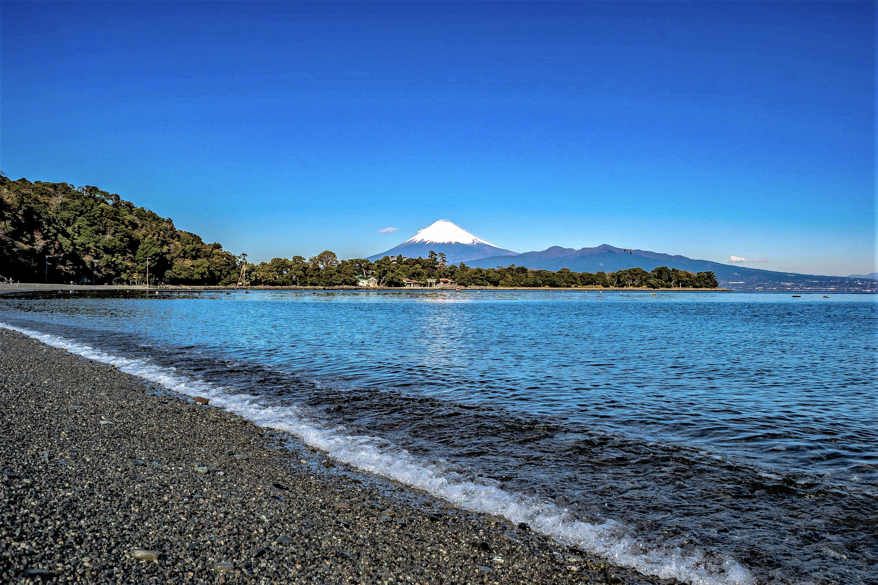 大瀬崎海岸