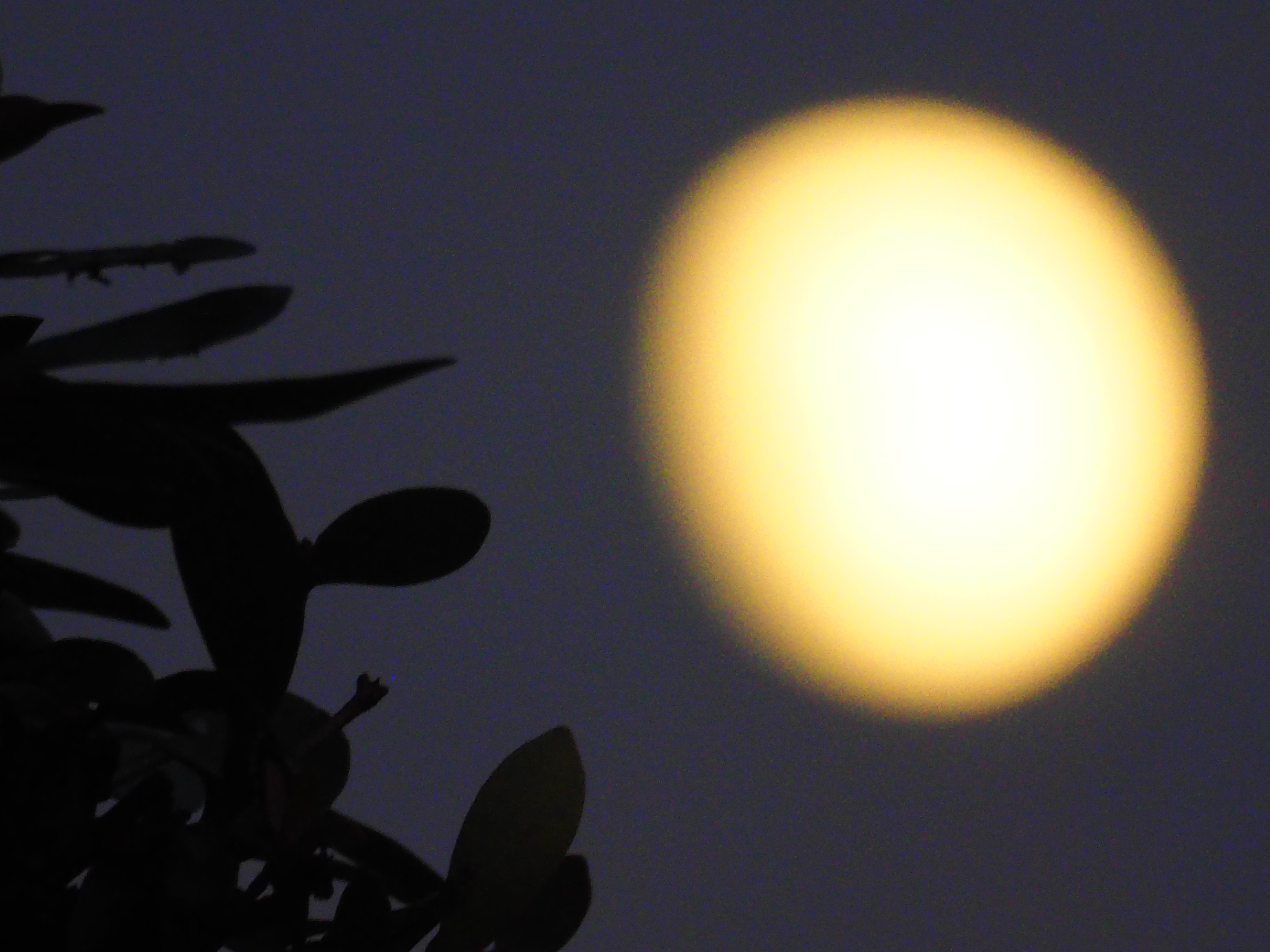 十三夜の月