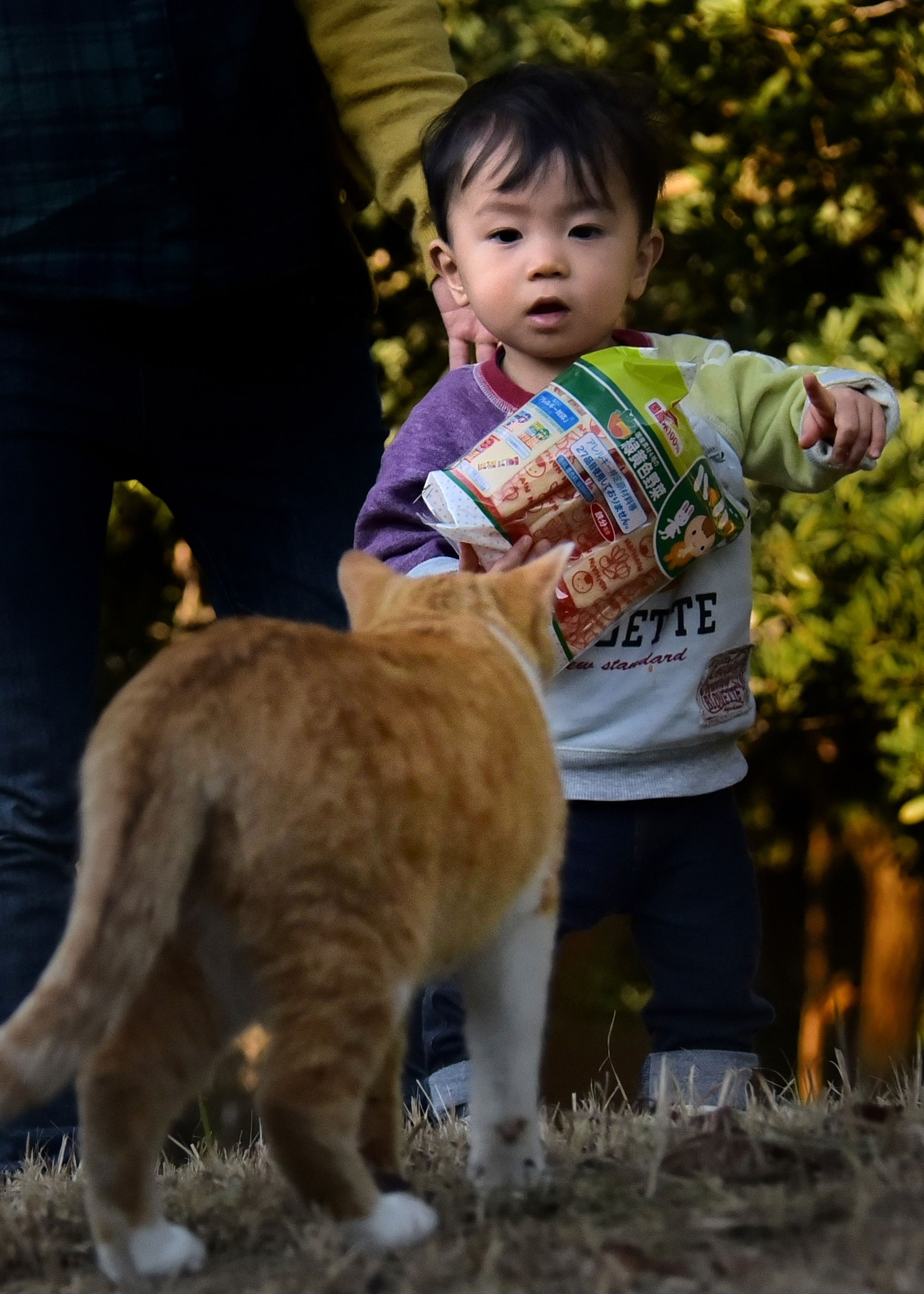 興味津々(縦)