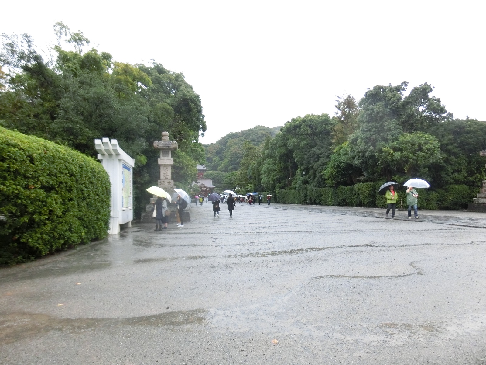雨の日の雨の広がり