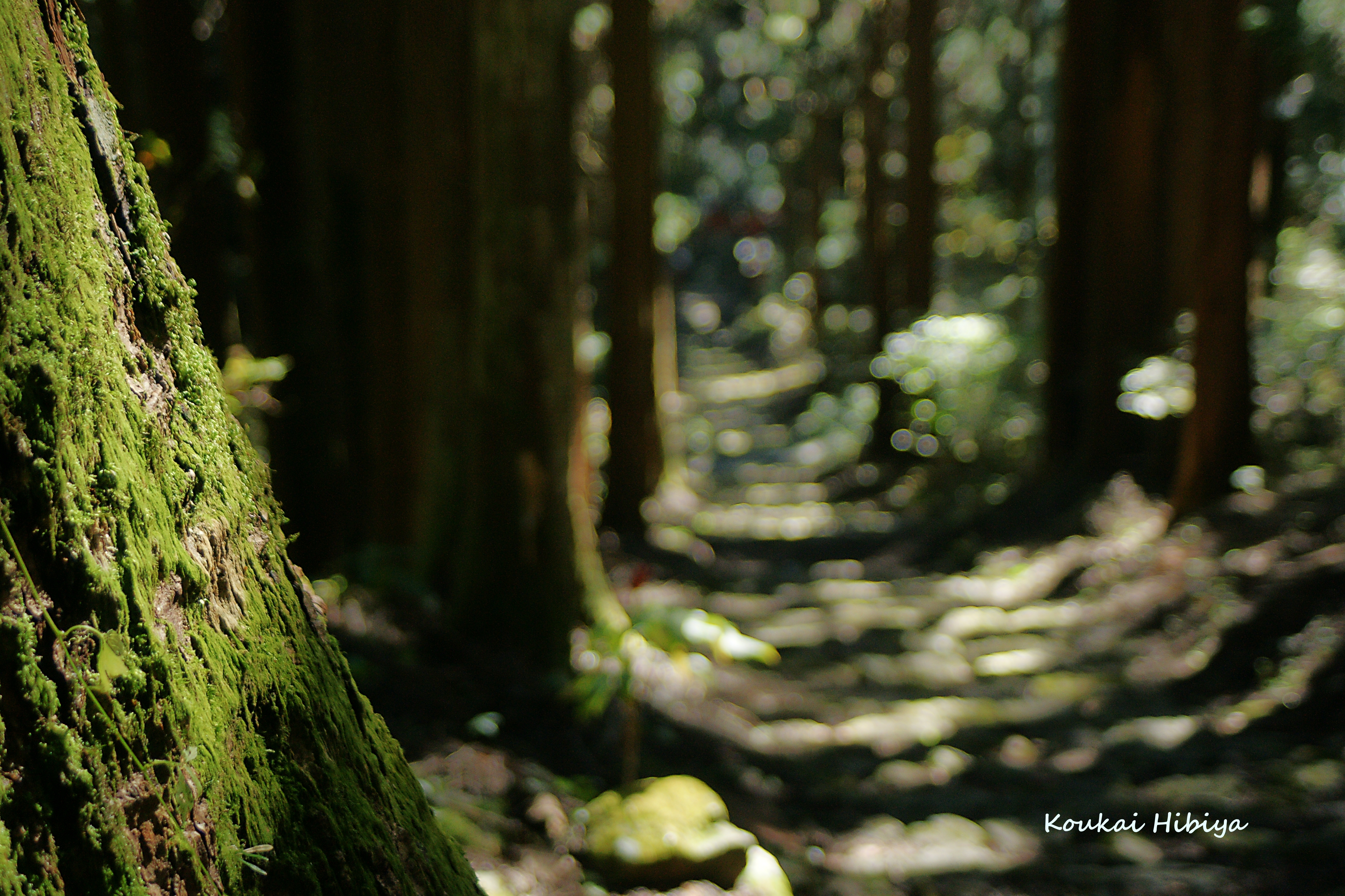 眺め・風景