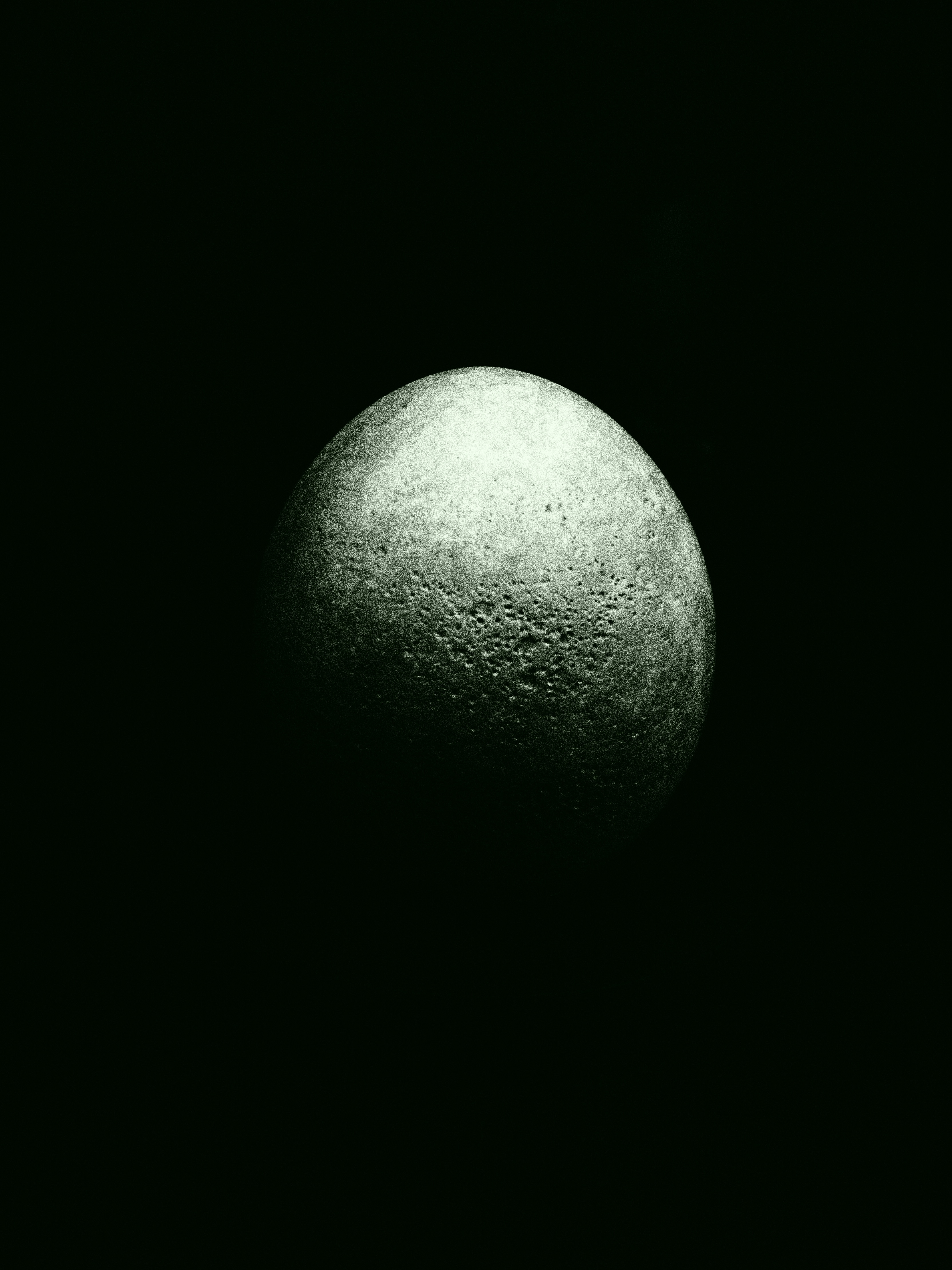 太古の卵