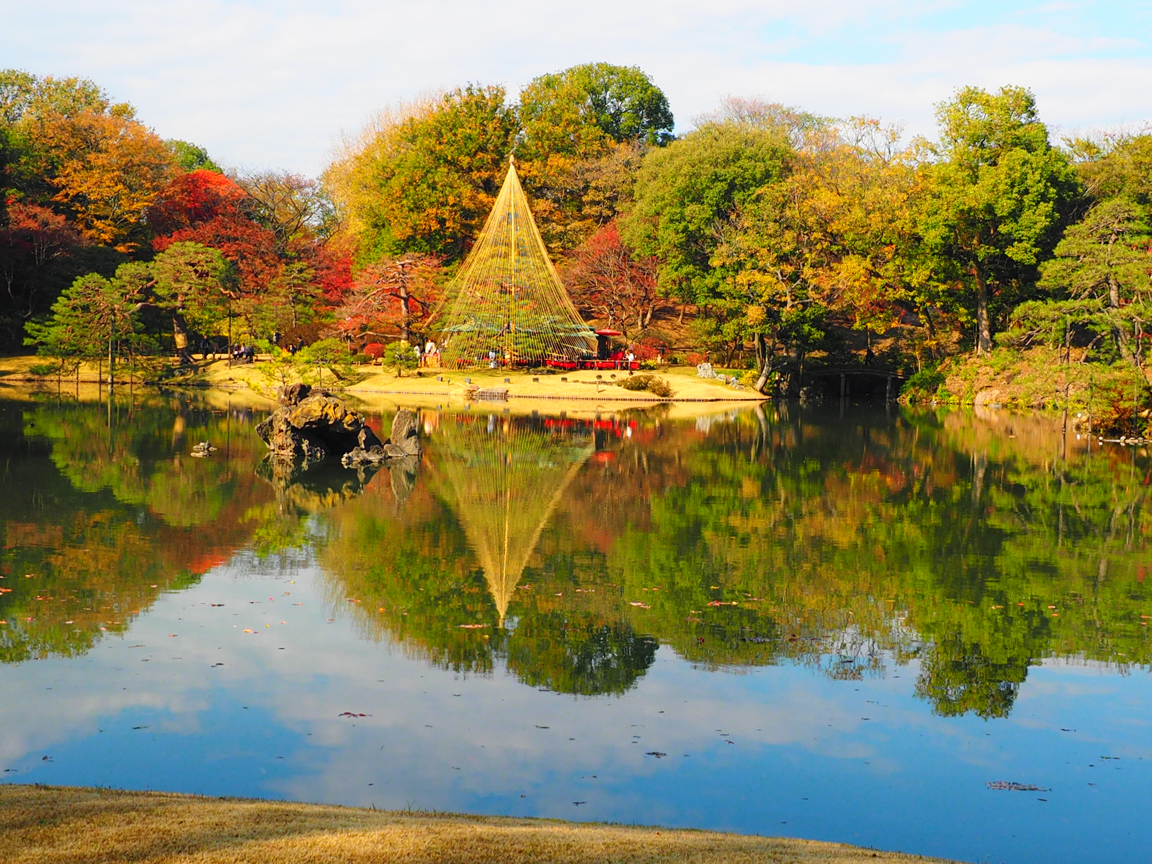 六義園のモミジ