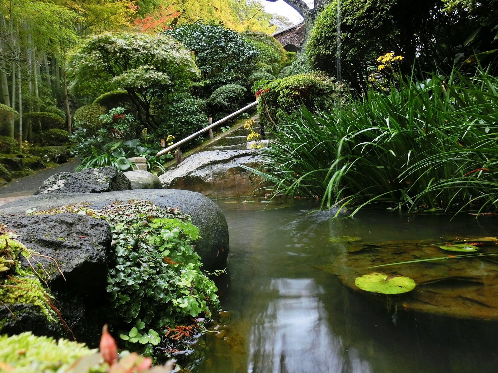 秋の庭